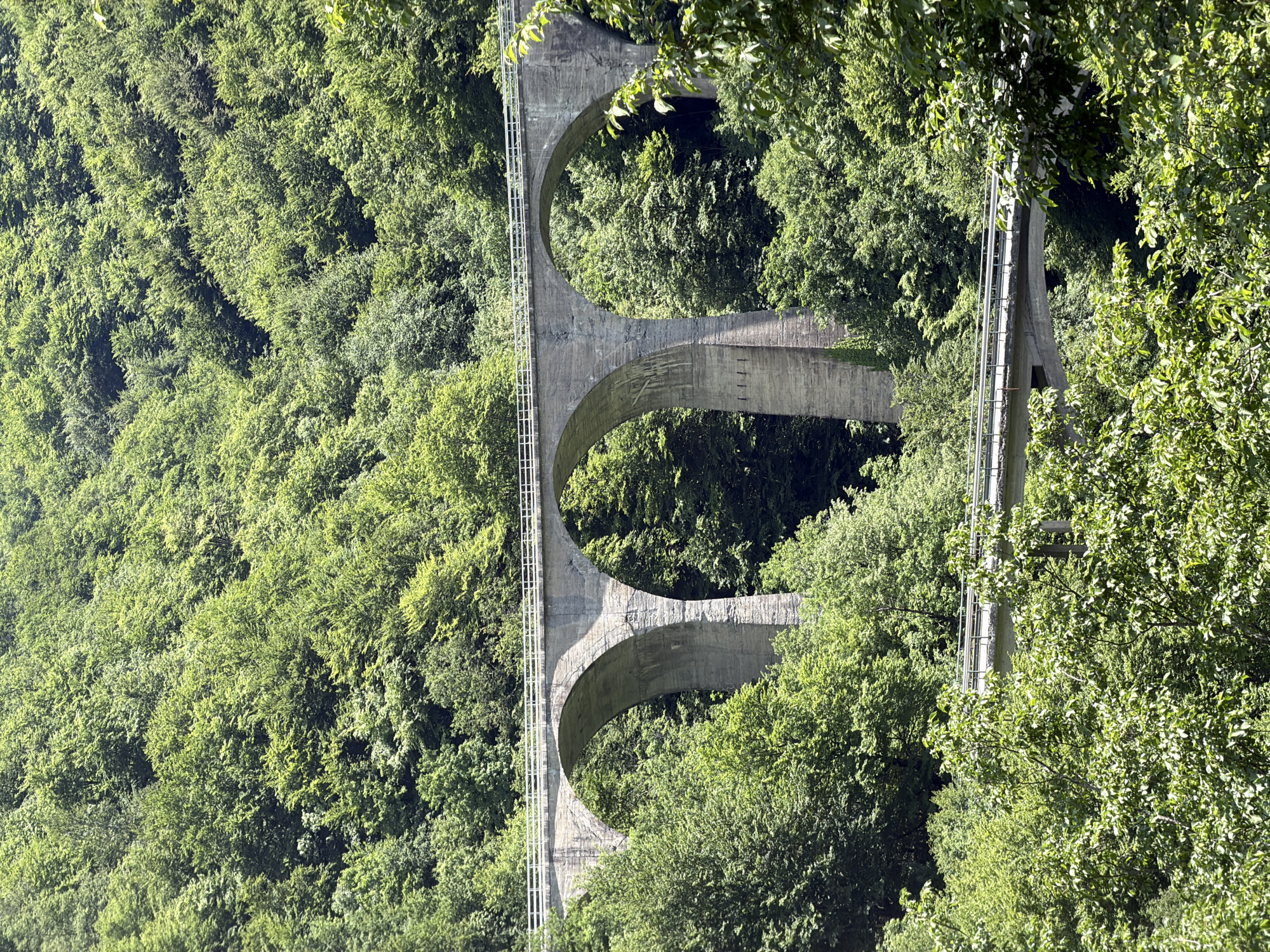 Three-arch concrete bridge photographed spanning forest in Montenegro