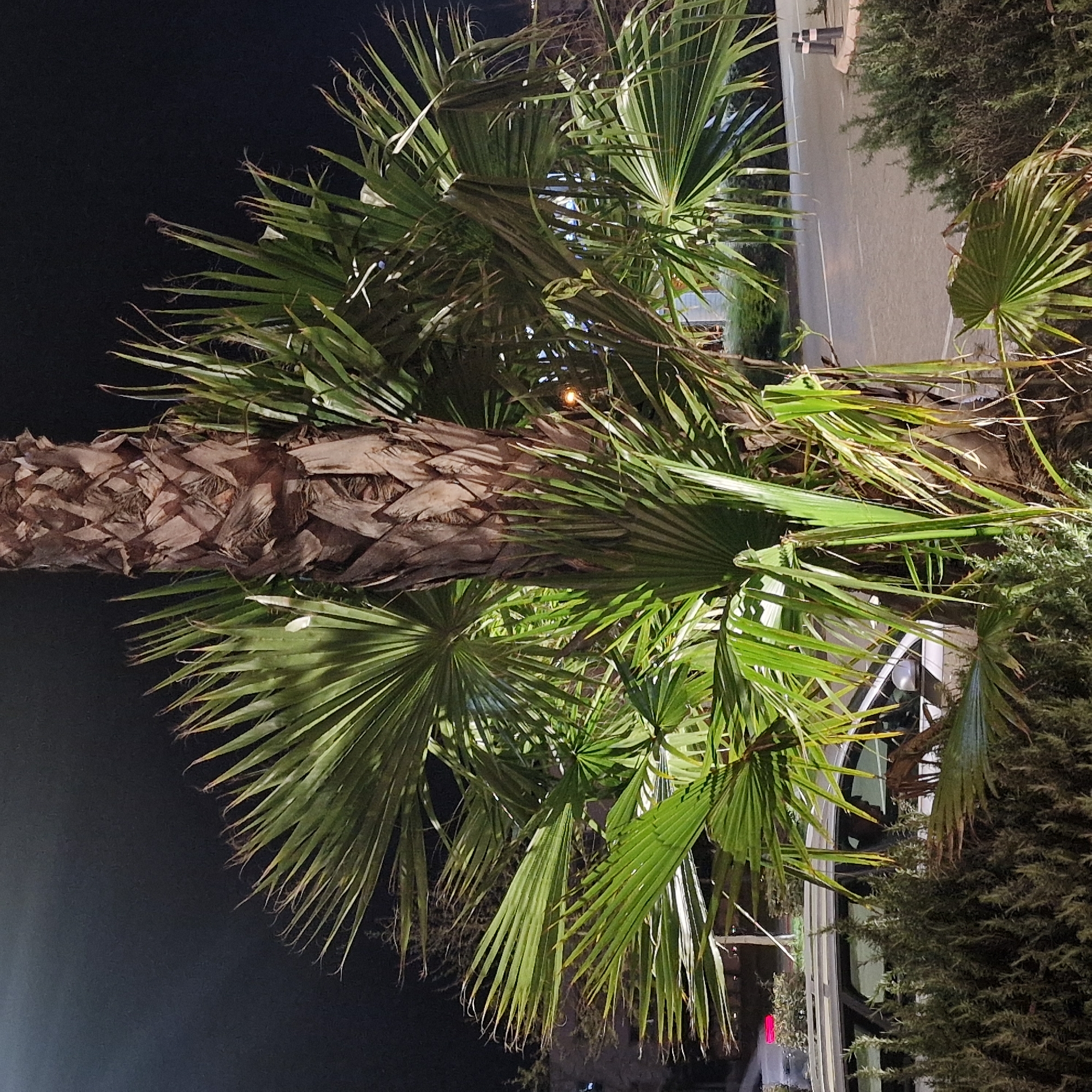 Evening shopping district scene documented in Podgorica, Montenegro