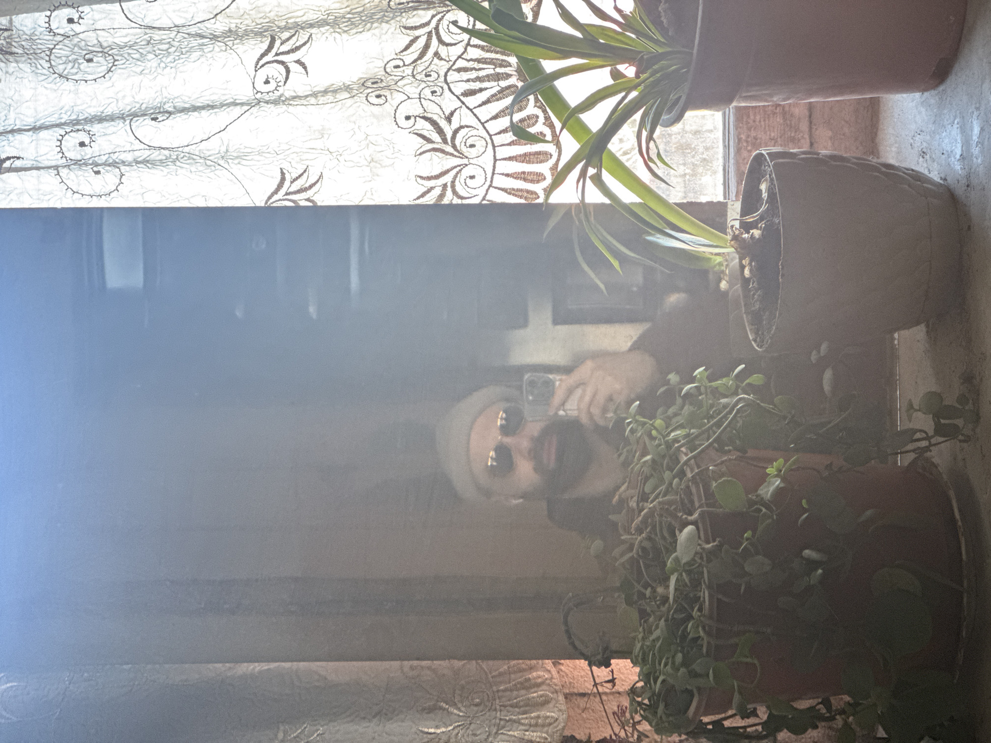 Person captures reflection in plant-filled window in Yerevan