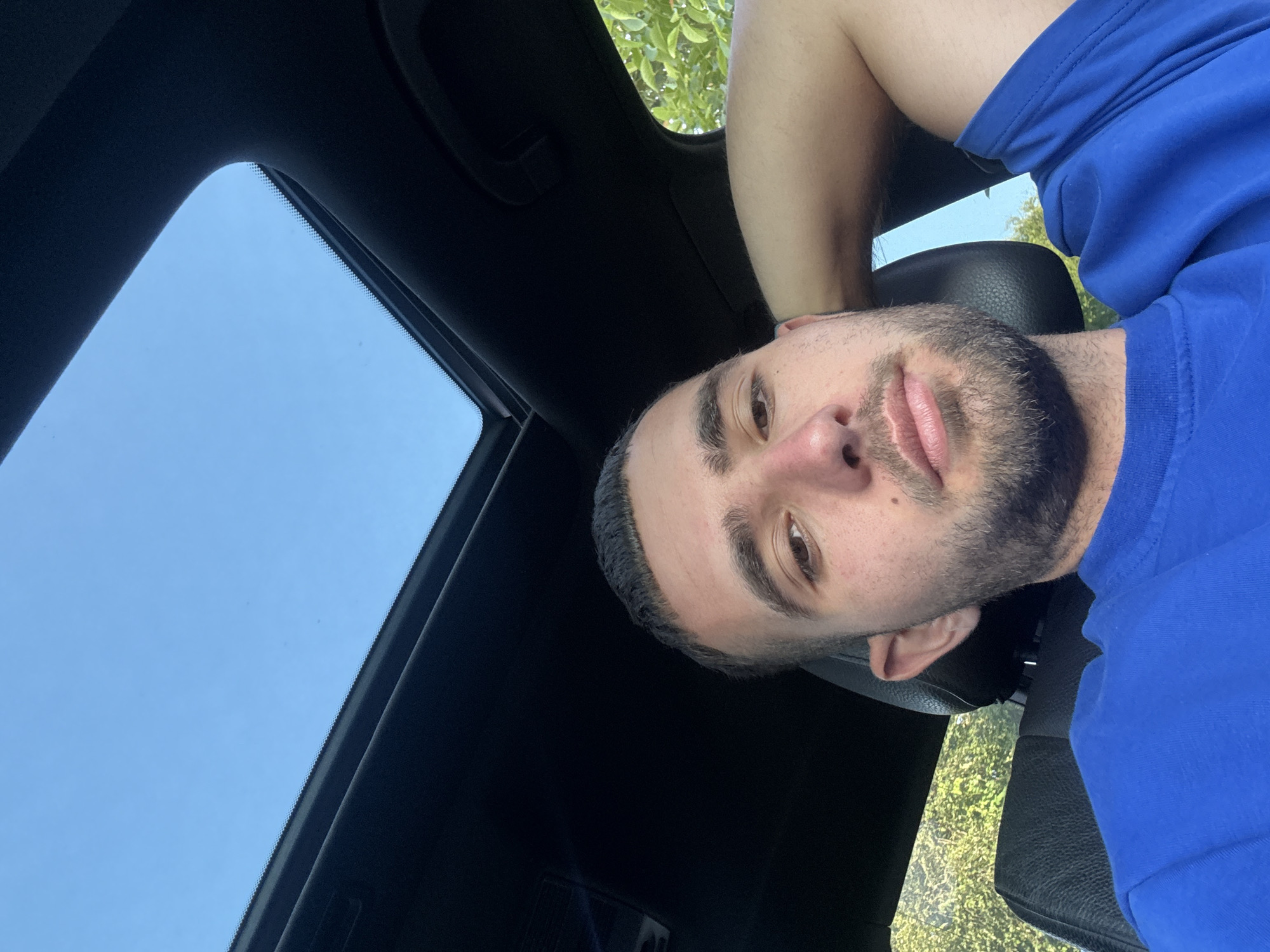 Summer morning stop in rural Bulgaria, vineyard and open road