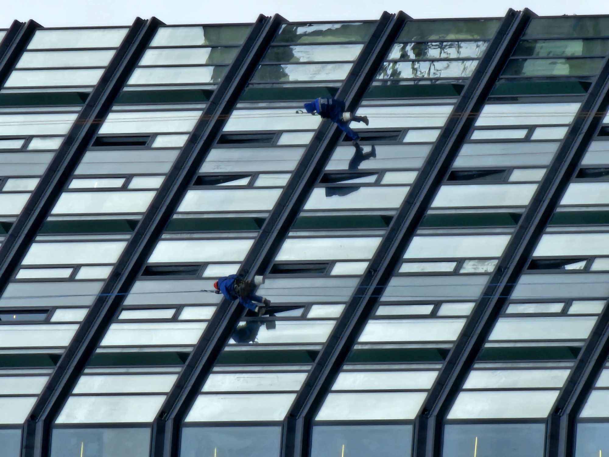 Rope crews work the glass towers of Moscow City