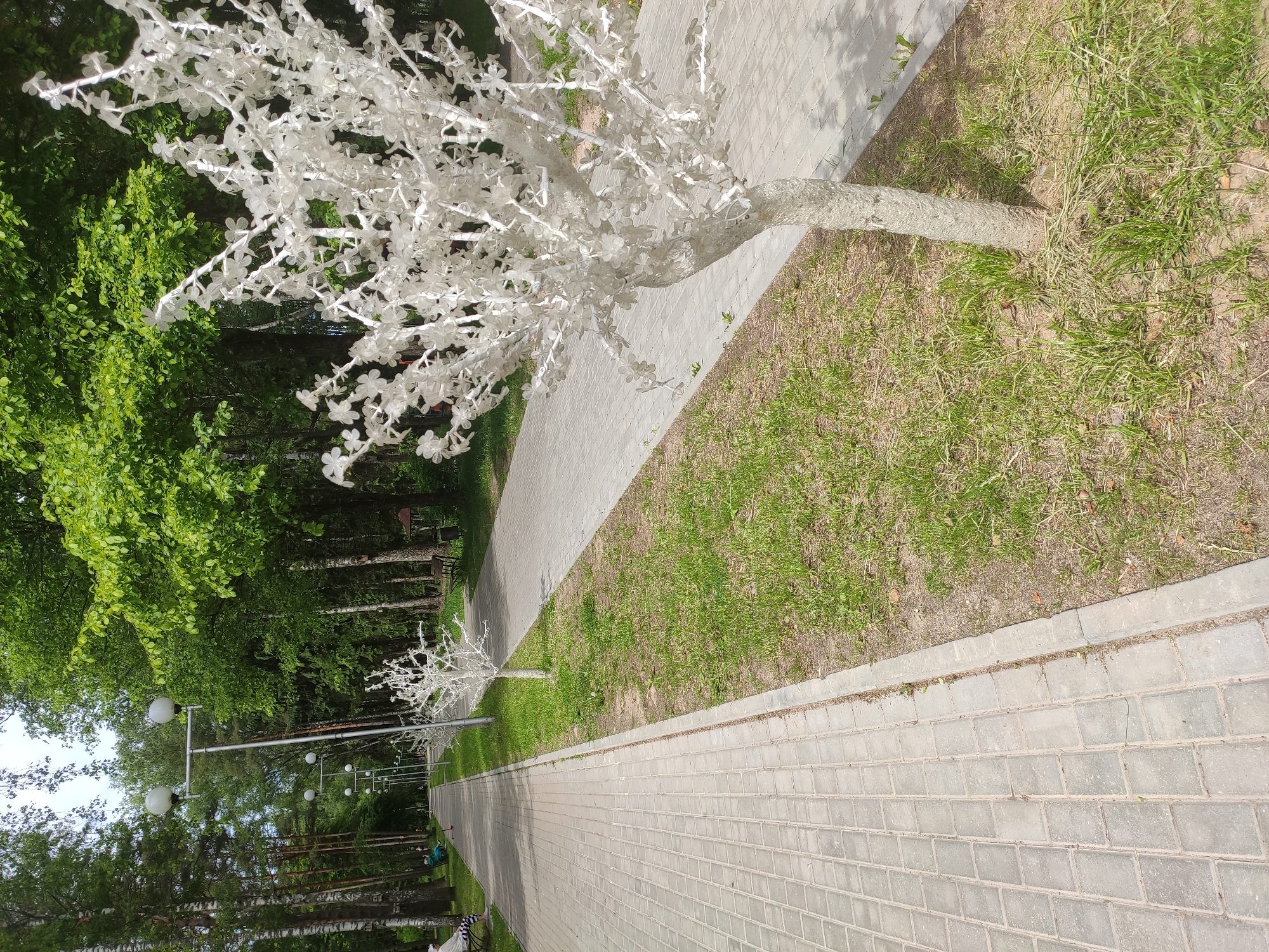 Morning walk documented through parks and streets in Navapolatsk