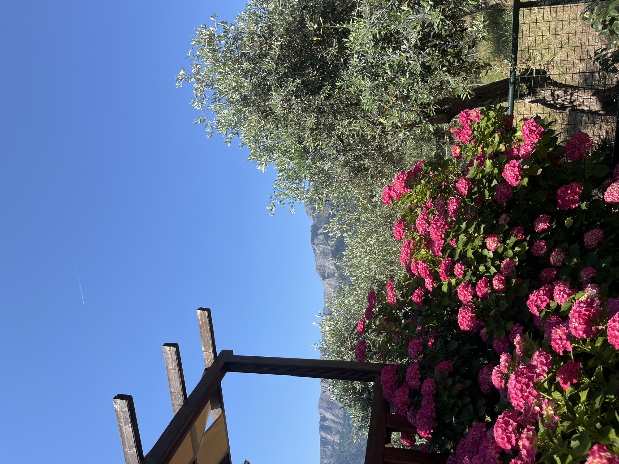 Morning memories capture Mediterranean beach, gardens, and mountain views