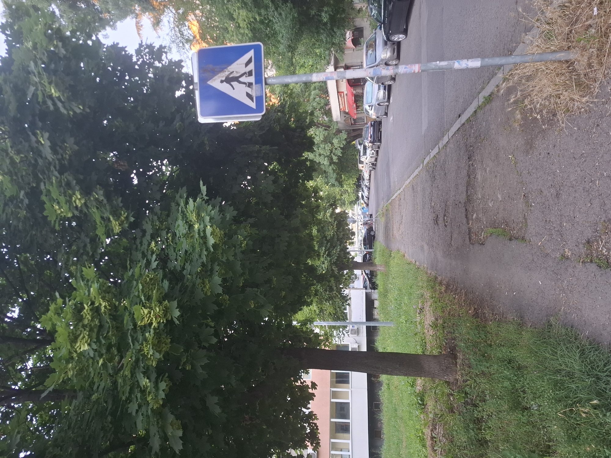 Residential neighborhood walk with crossings, parked cars, and daylily gardens