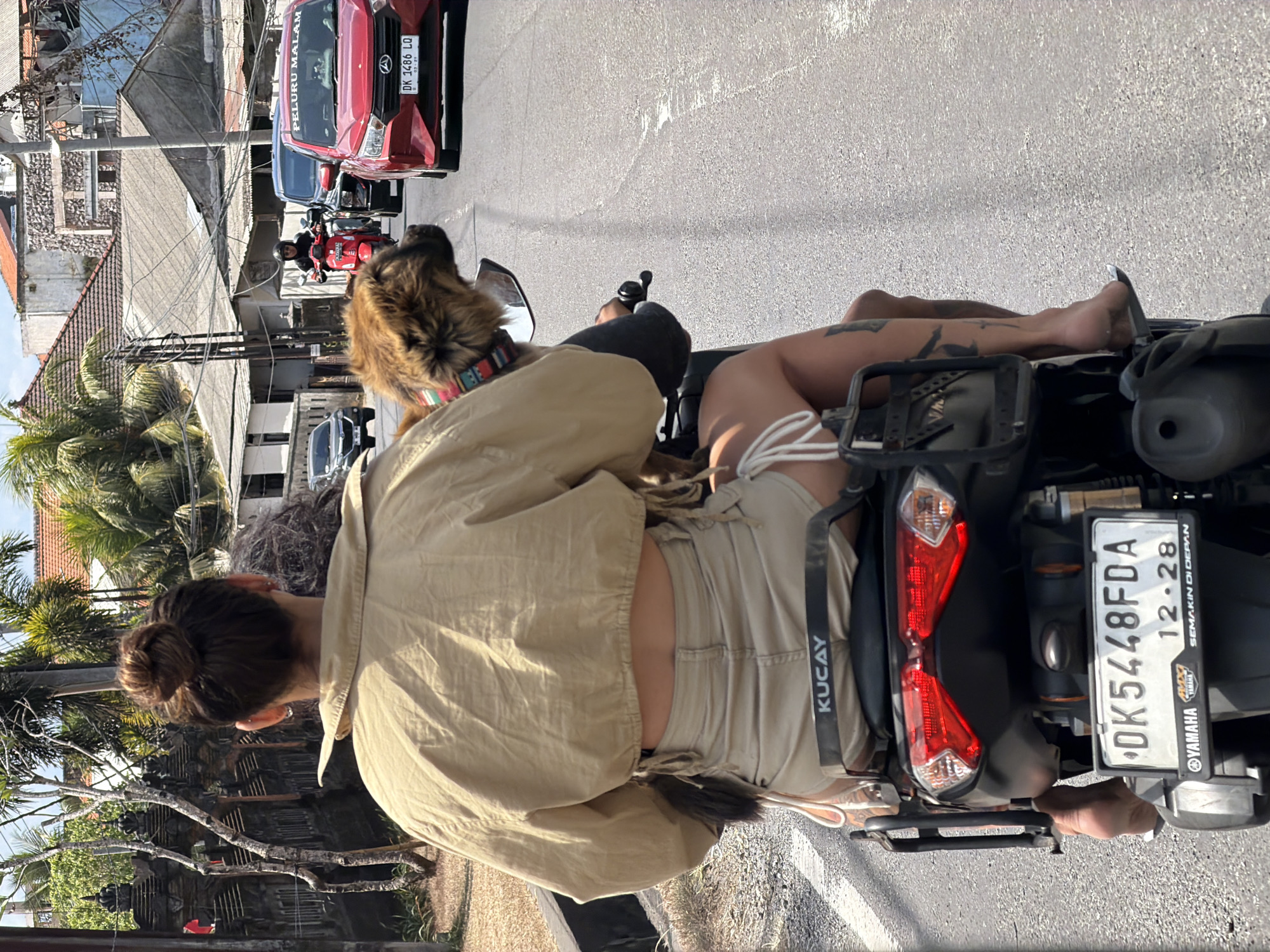 Two people and a dog share a scooter ride through the city.