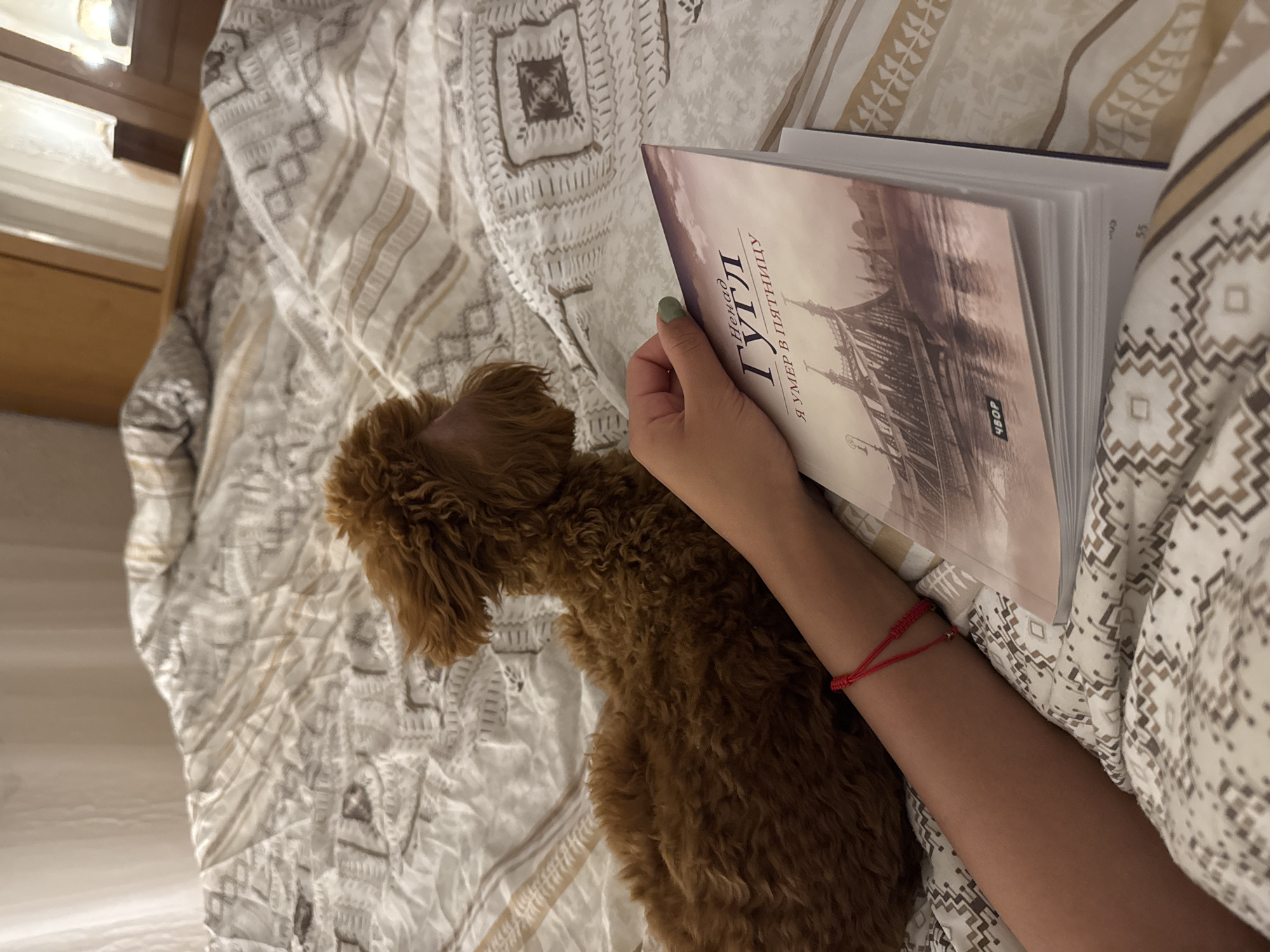 Quiet evening moments shared between woman and poodle in Montenegro