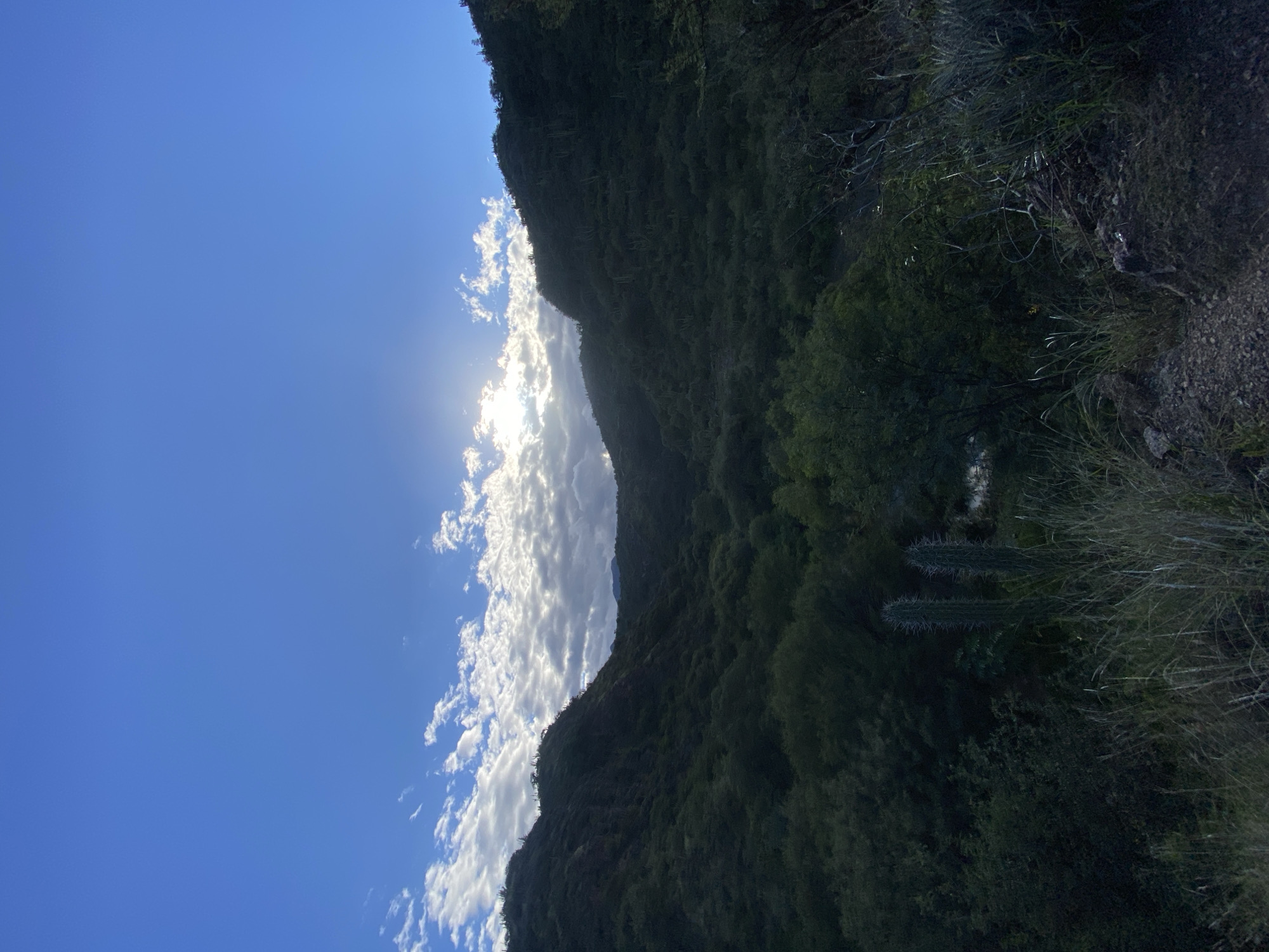 Mountain landscapes documented near Catamarca, Argentina