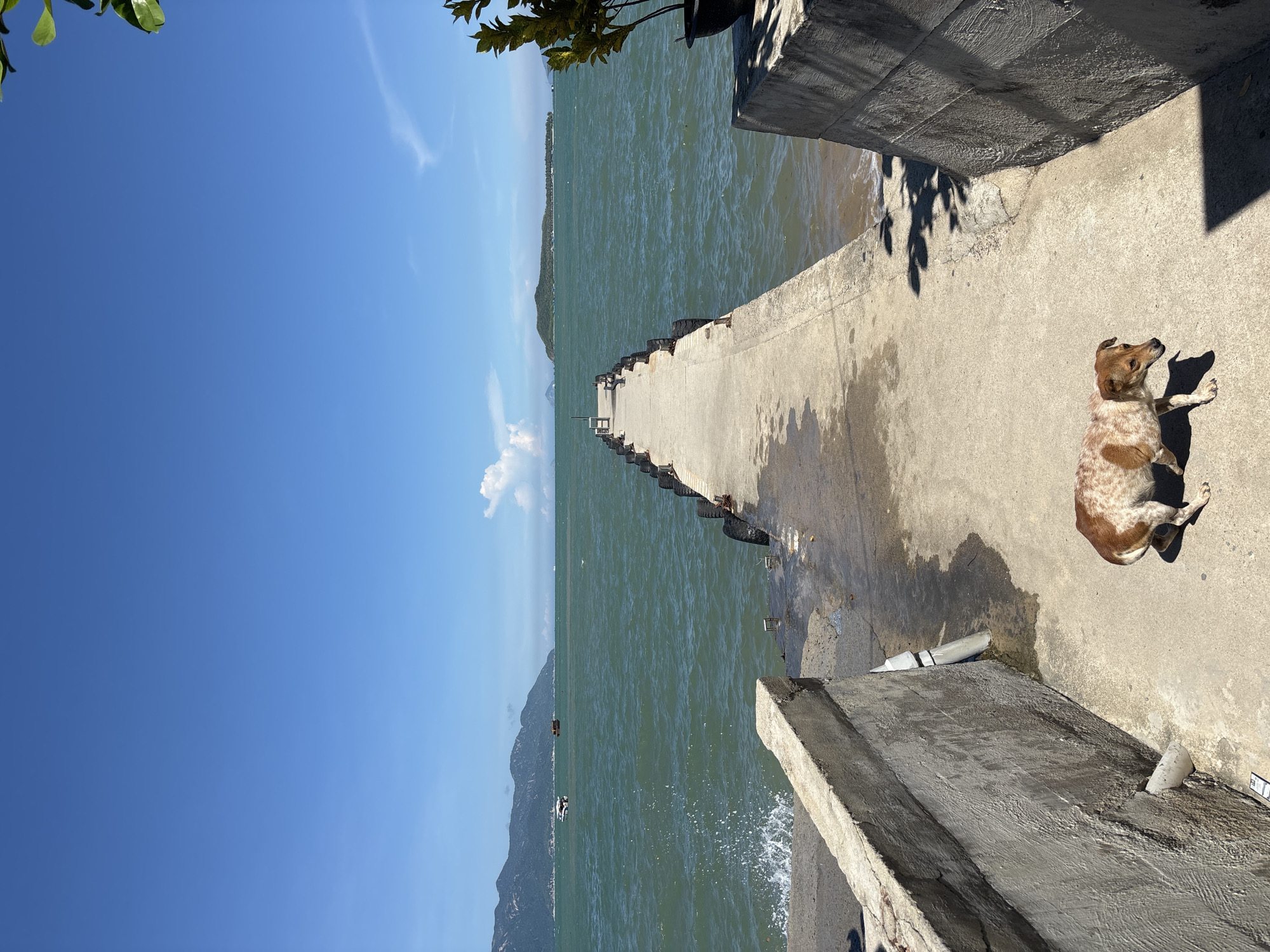 Coastal travel day: waterfront views, local scenes, and breakfast