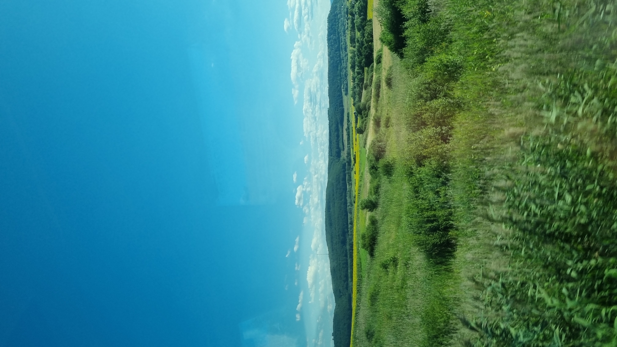 Dărmănești, Romania