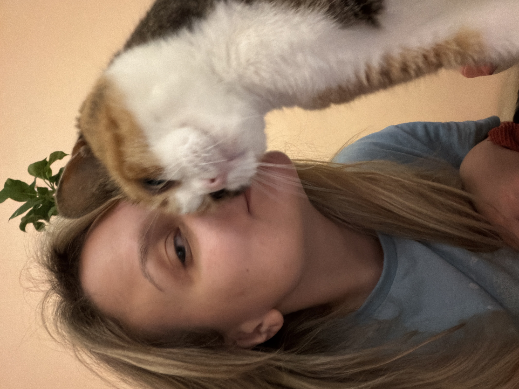 Woman shares tender moments with calico cat in Tel Aviv