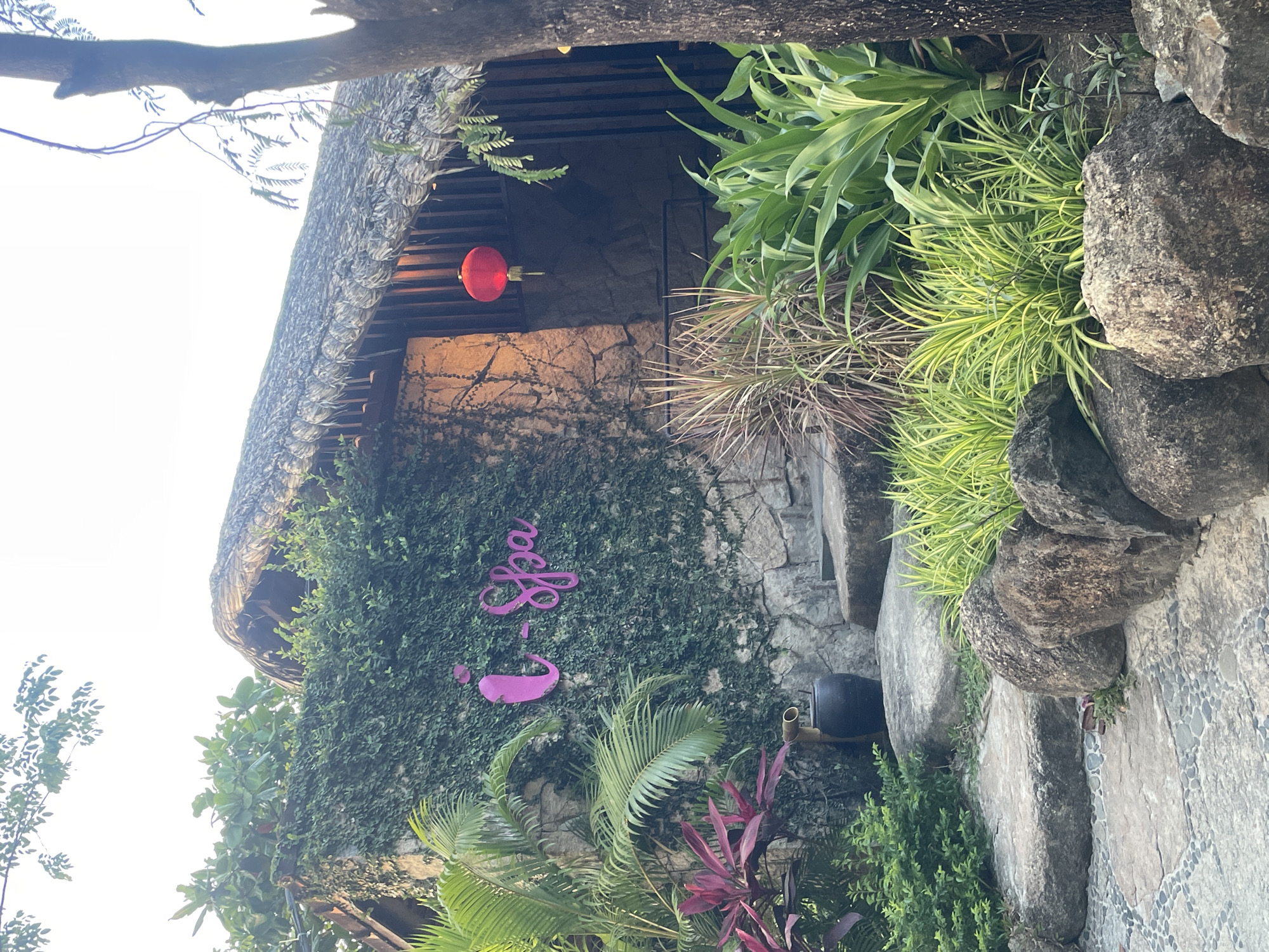 Tropical spa and palm trees documented in Nha Trang