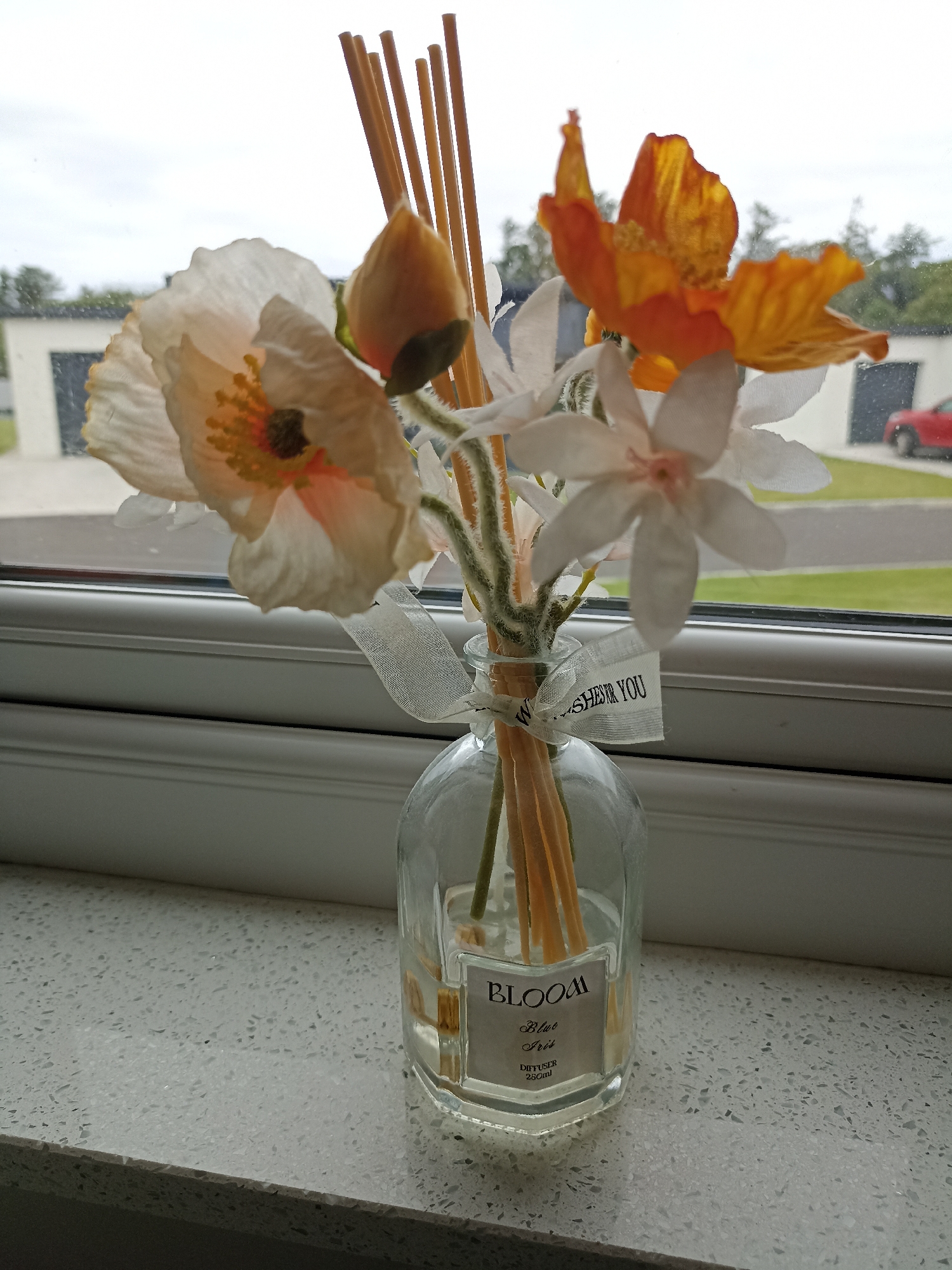 Orchids, clover, and home details from a Donegal house