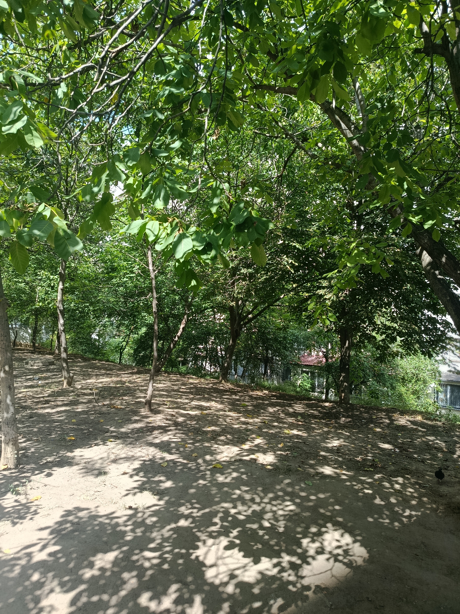 Afternoon in a Chișinău park: nature, playgrounds, and street life