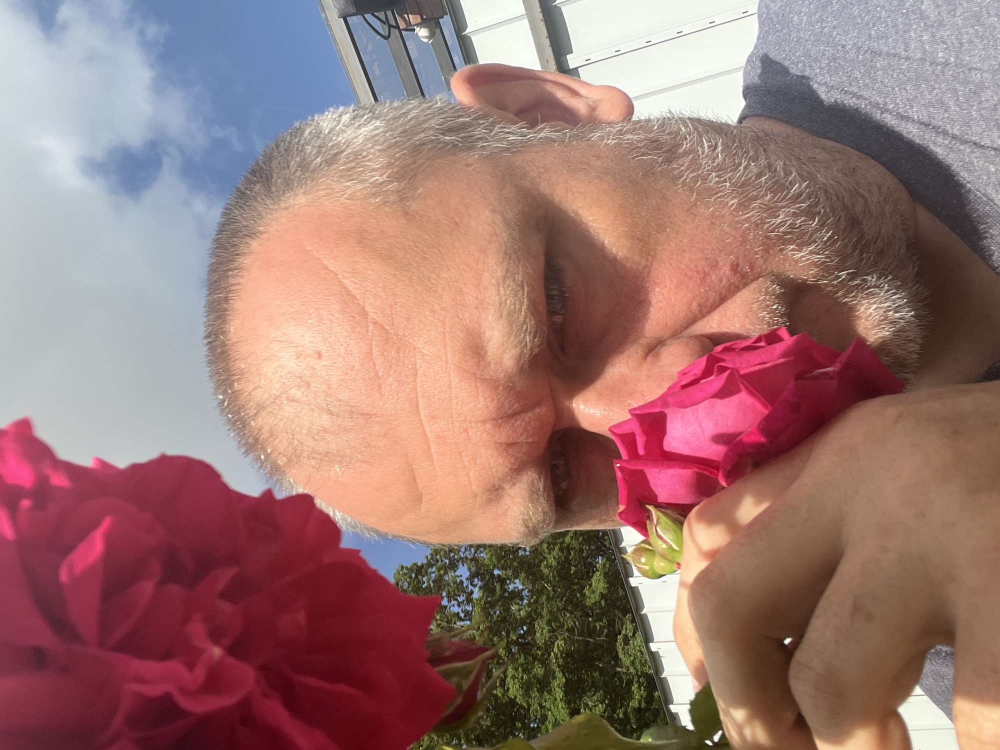 Morning moments: roses, pets, quiet life in Russian town