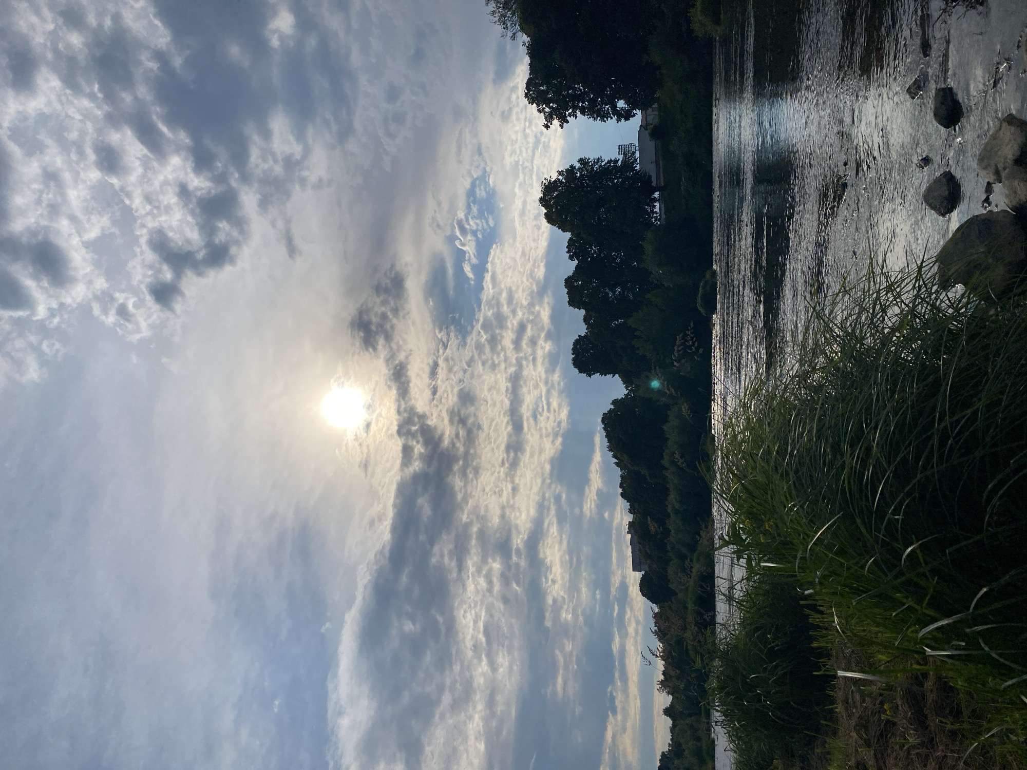 Witness documents peaceful waterside scene with grasses during afternoon