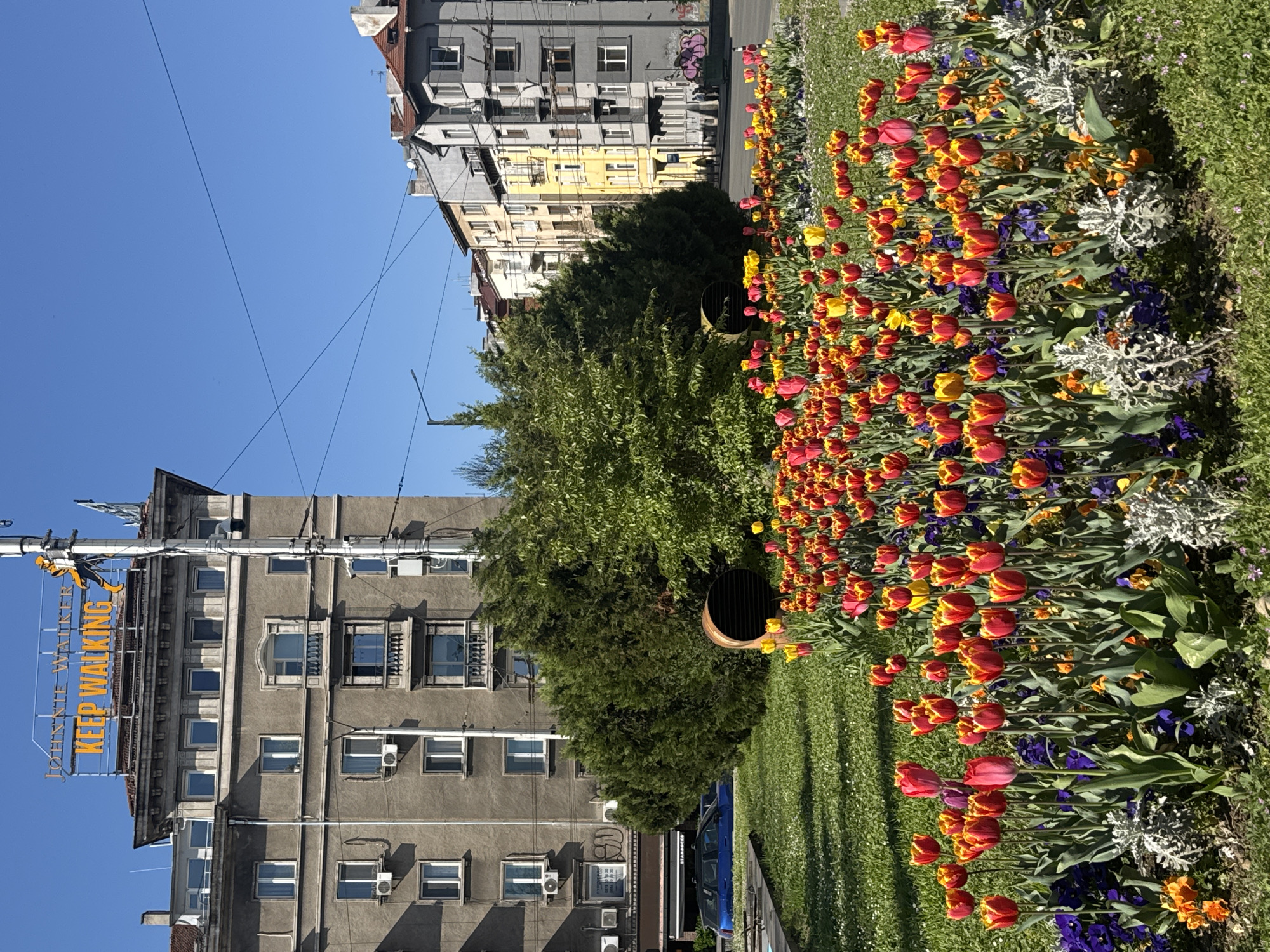 Spring morning scenes documented in central Sofia, Bulgaria