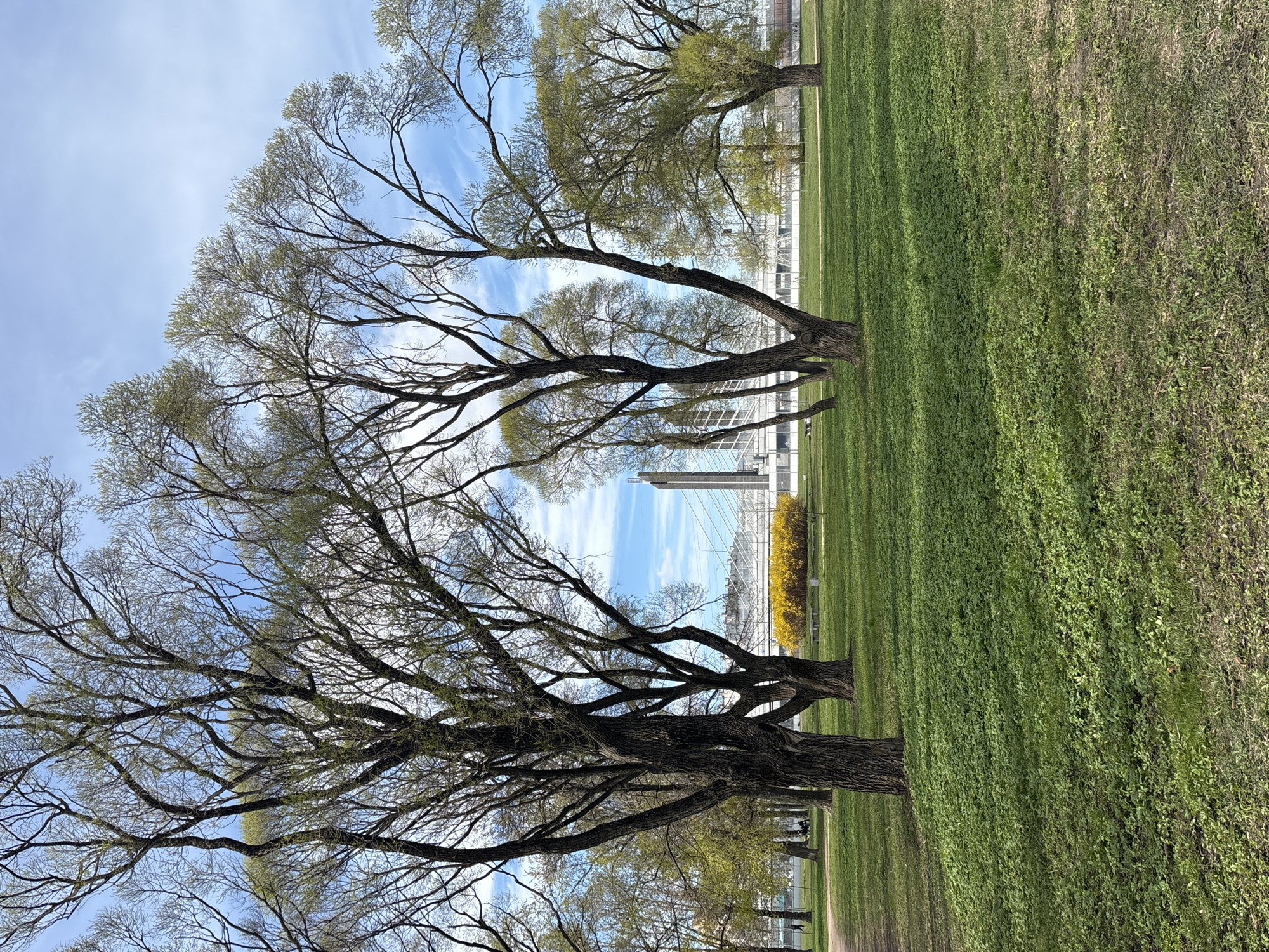 Spring afternoon park scene documented in Saint Petersburg