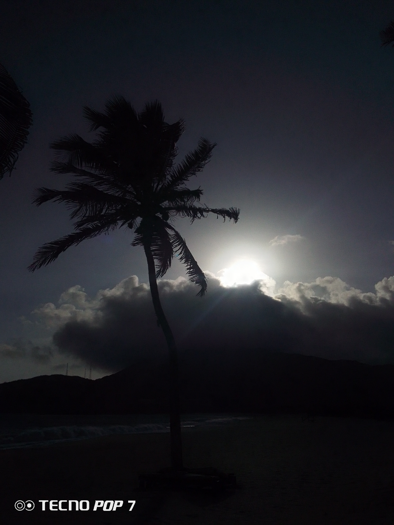Tropical beach moments captured in Pedro González, Venezuela