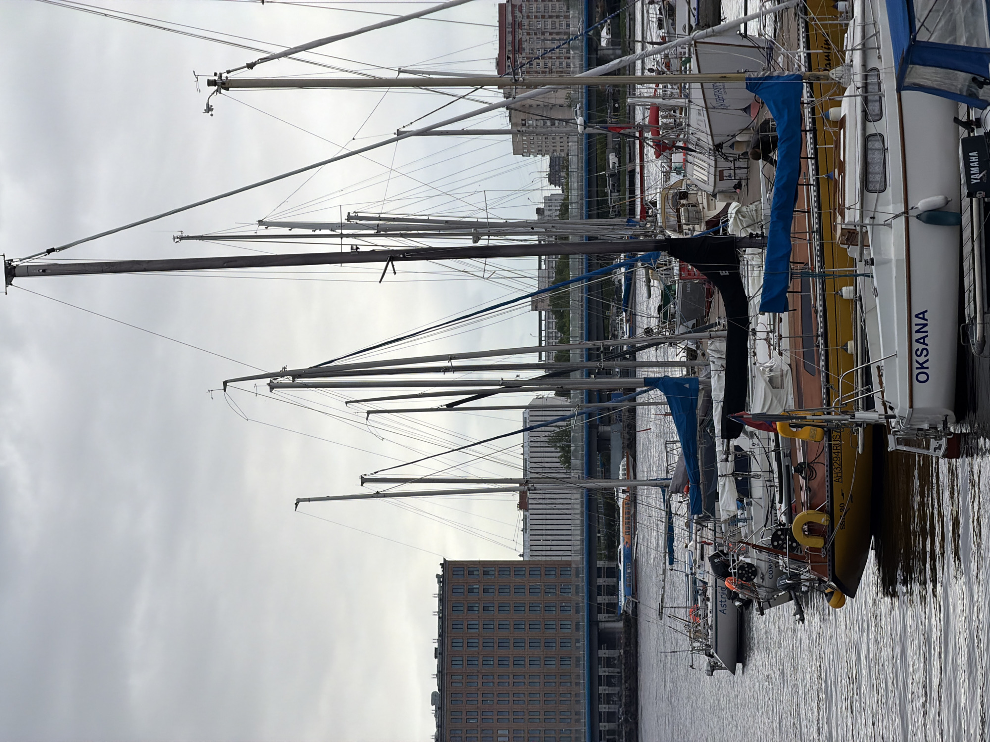 Sailboats docked at Saint Petersburg marina observed from elevated viewpoint