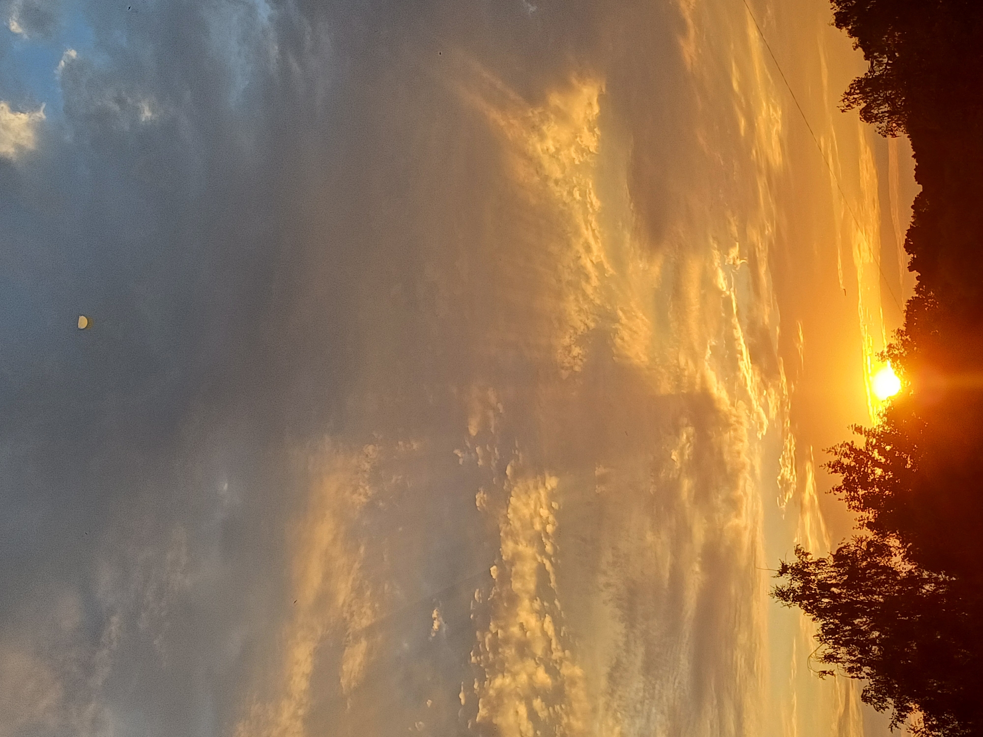 Riga sunset sky, shot from multiple angles — plus one hamster