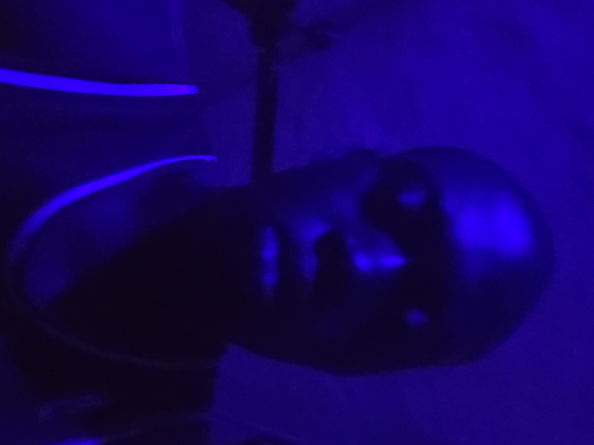 Dark figure illuminated by blue light observed in unknown location