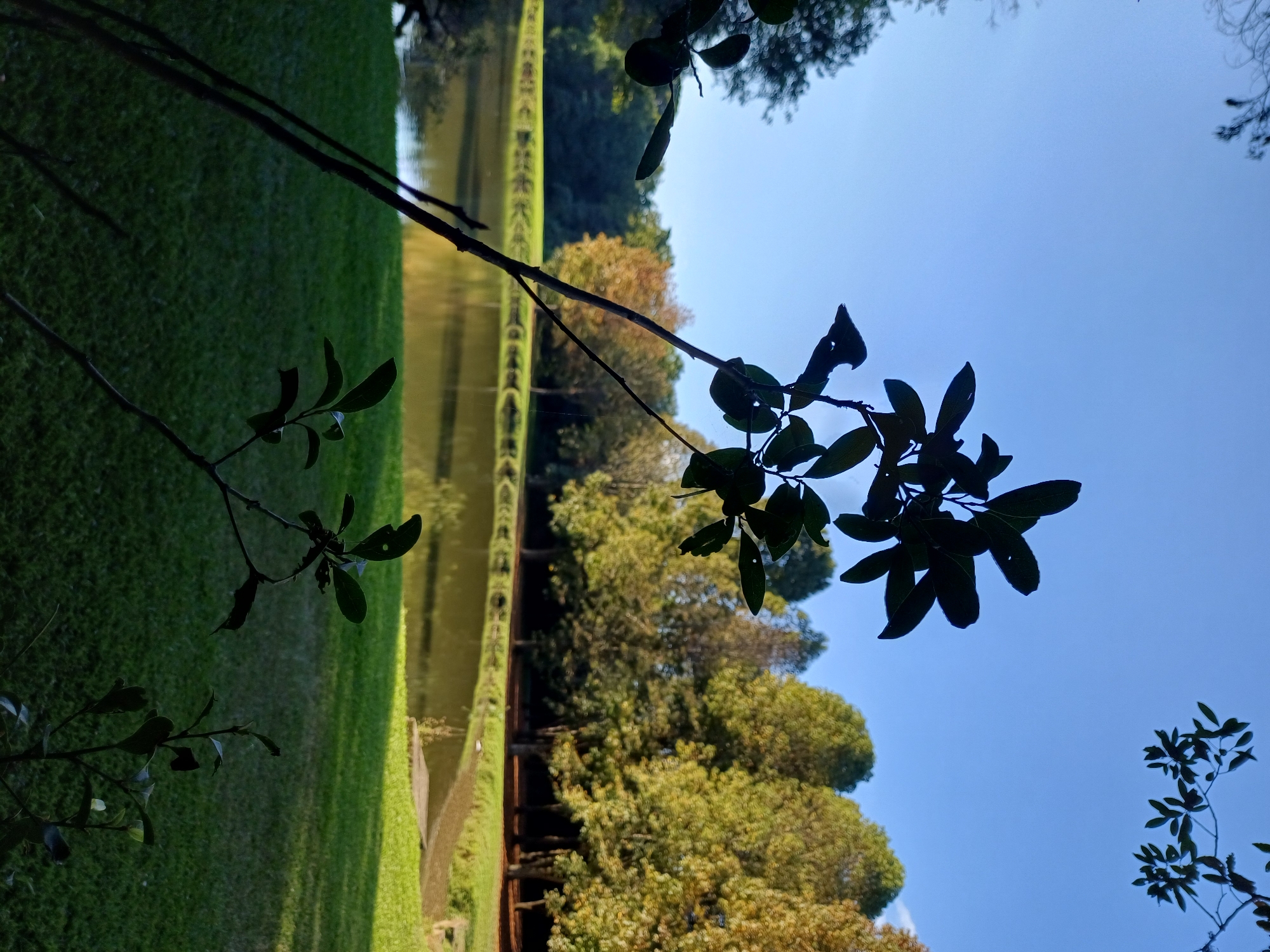 Evening park visit captured across Curitiba's green spaces