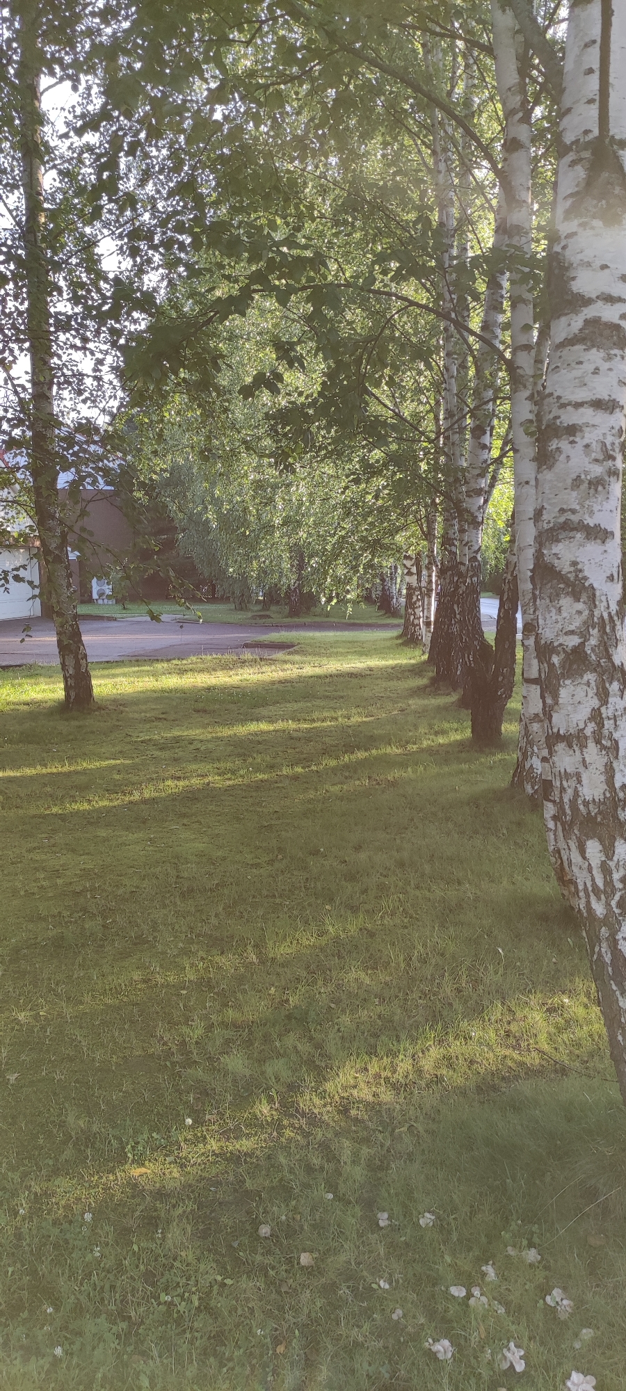 Rosinka, Russia