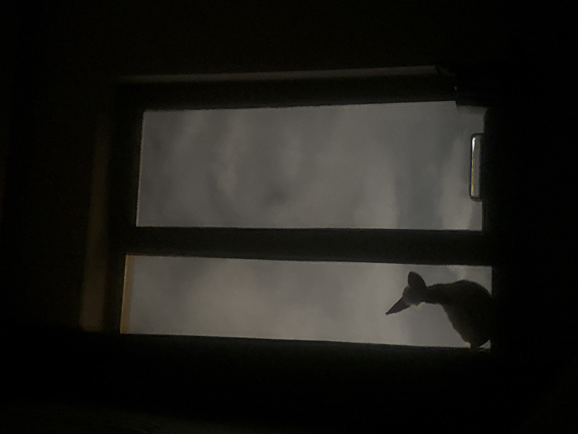 Window views captured in Yerevan during overcast evening