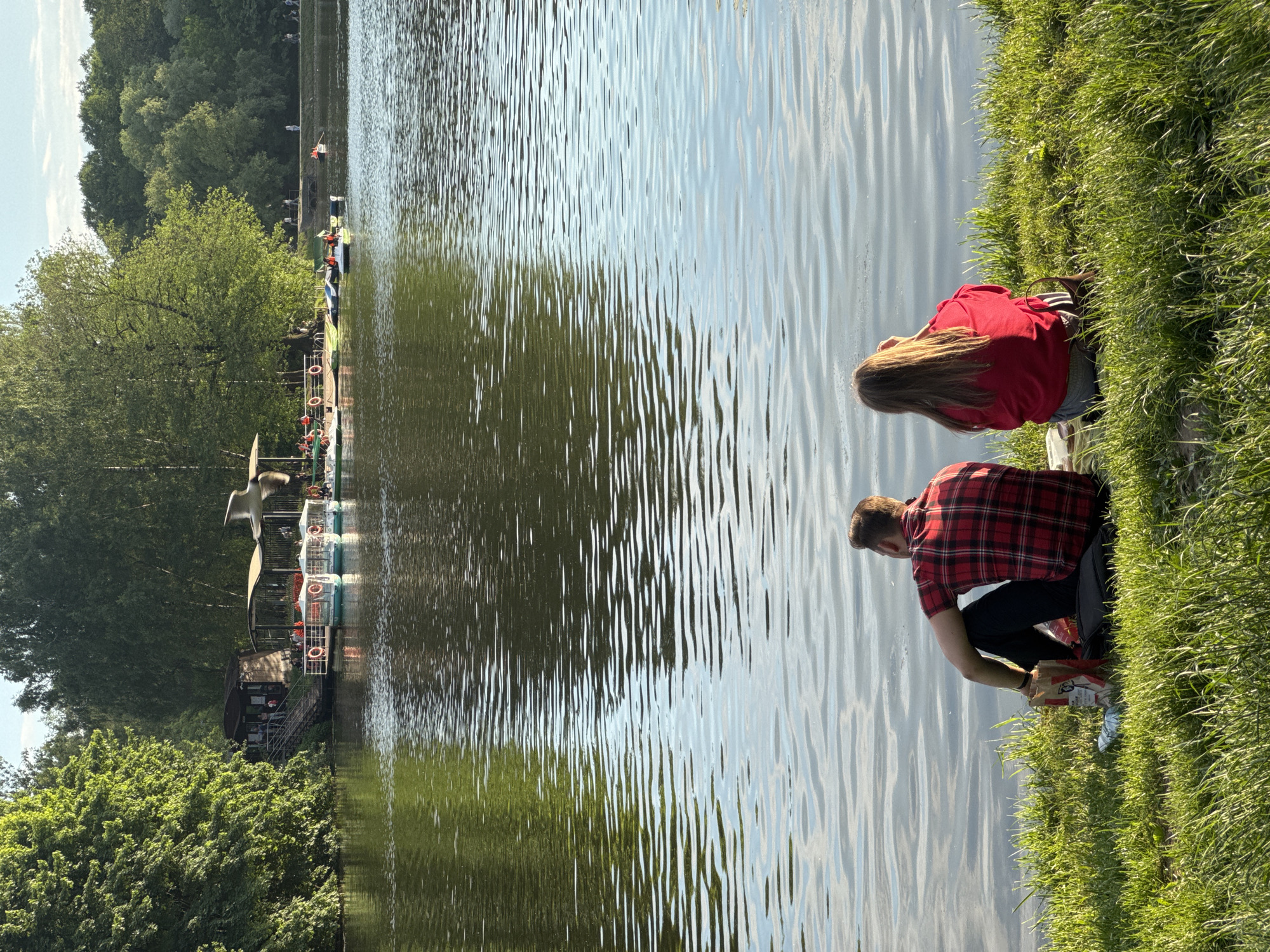 Afternoon park gathering observed at Moscow lake with ducks