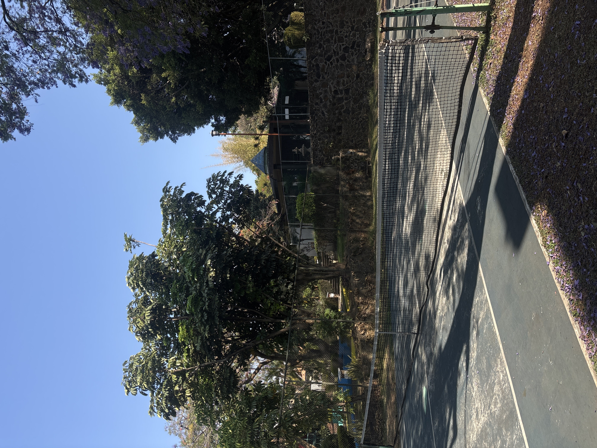 Tennis court amid lush vegetation documented in Cuernavaca