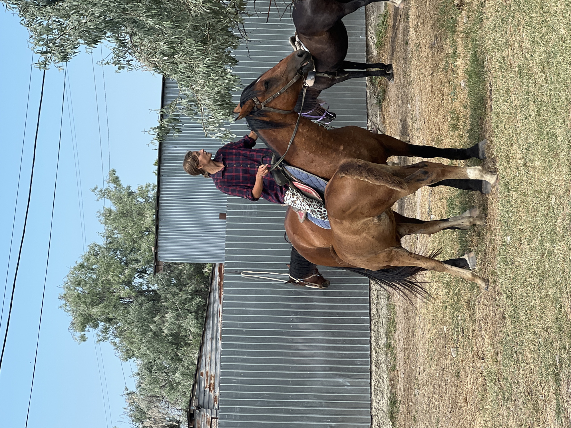 Horses and riders at an outdoor equestrian session in Ukraine