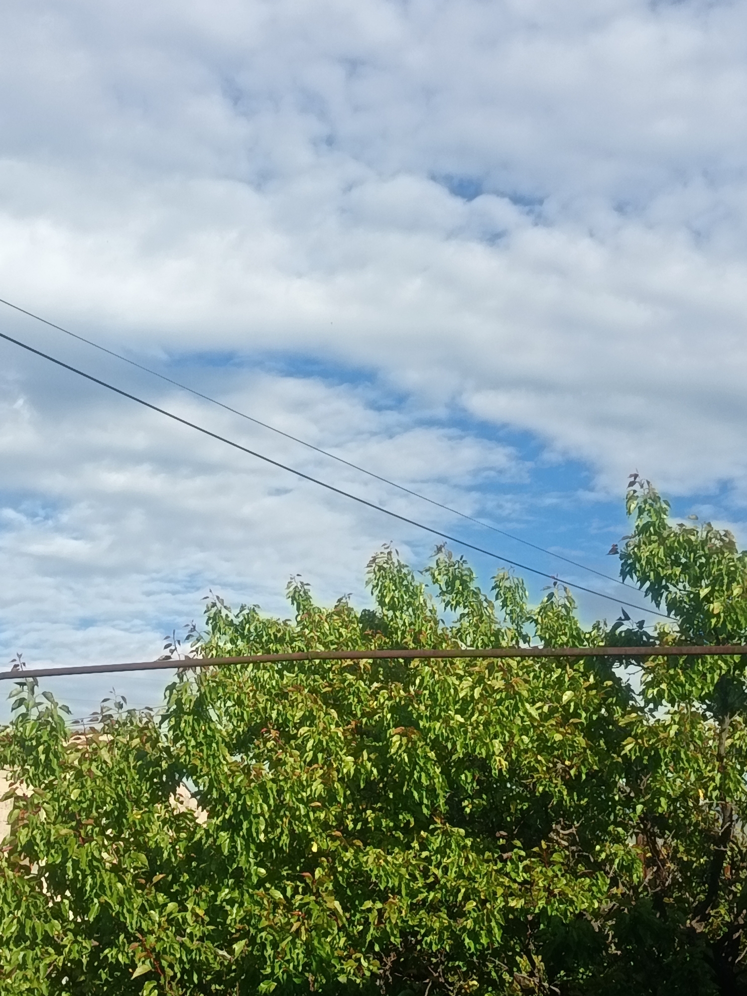 Early morning observations capture sky and motivational text in Armenia