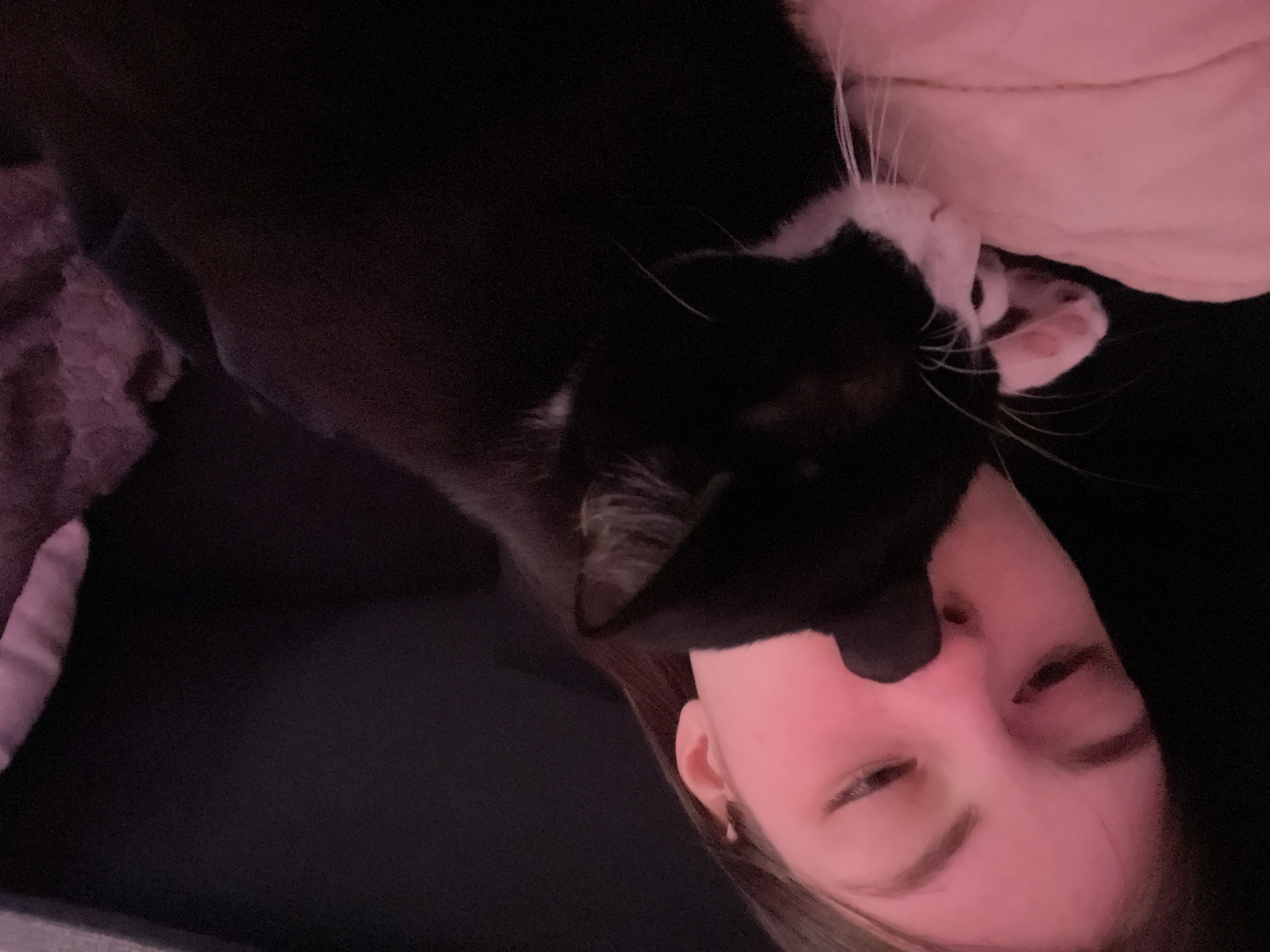 Person shares affectionate moments with tuxedo cat in Saint Petersburg