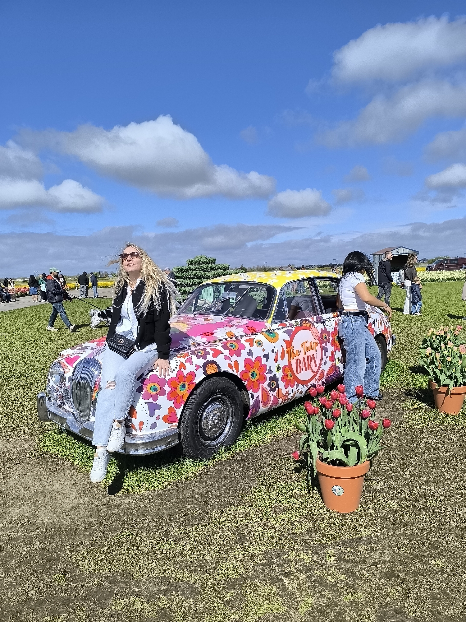 Visitors enjoy decorated tulip farm experience in Hillegom