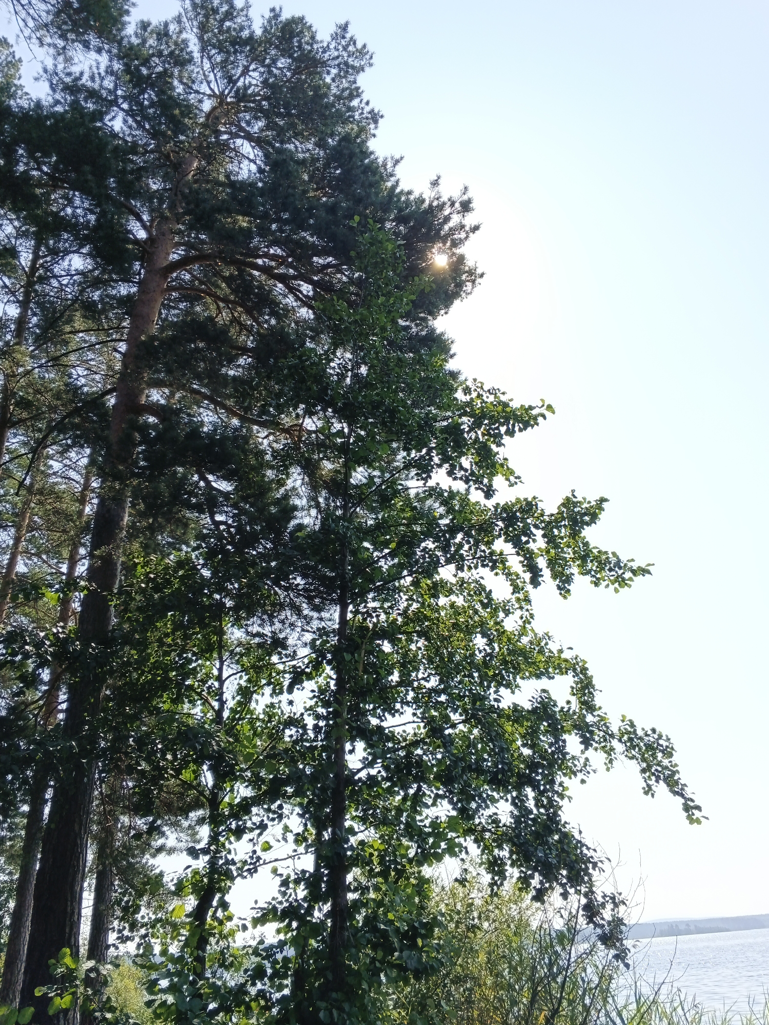 Lazy summer lake day in Sarafanovo — swimming, fishing, and camping
