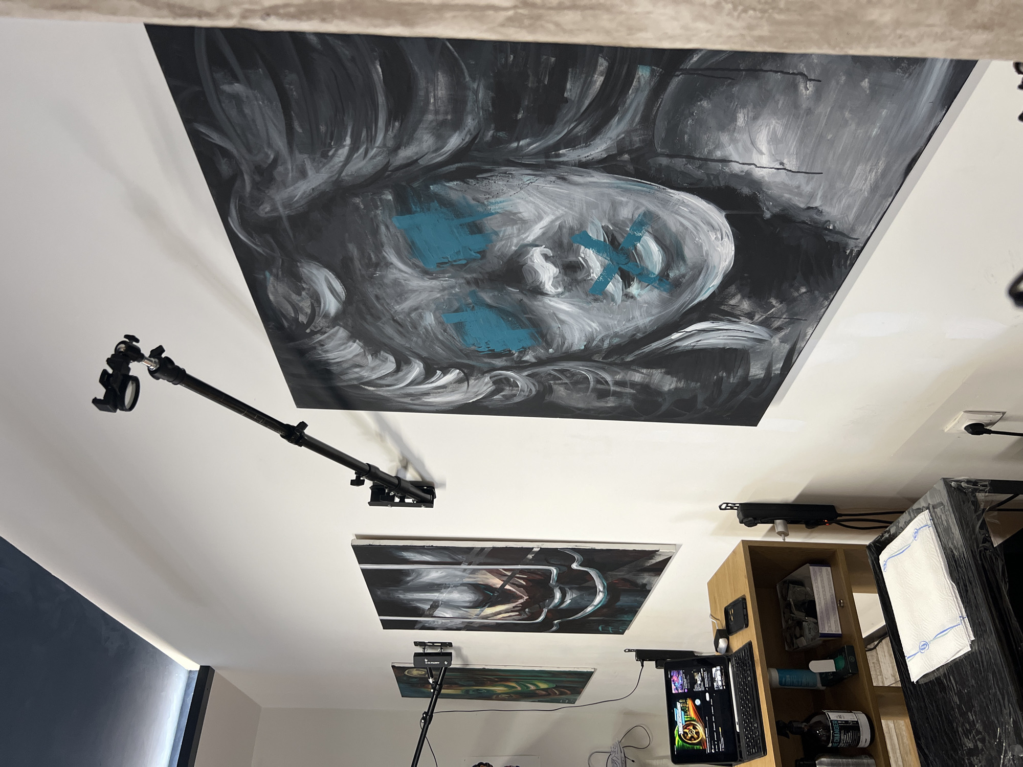 Ceiling-mounted artwork display observed in Sofia interior space