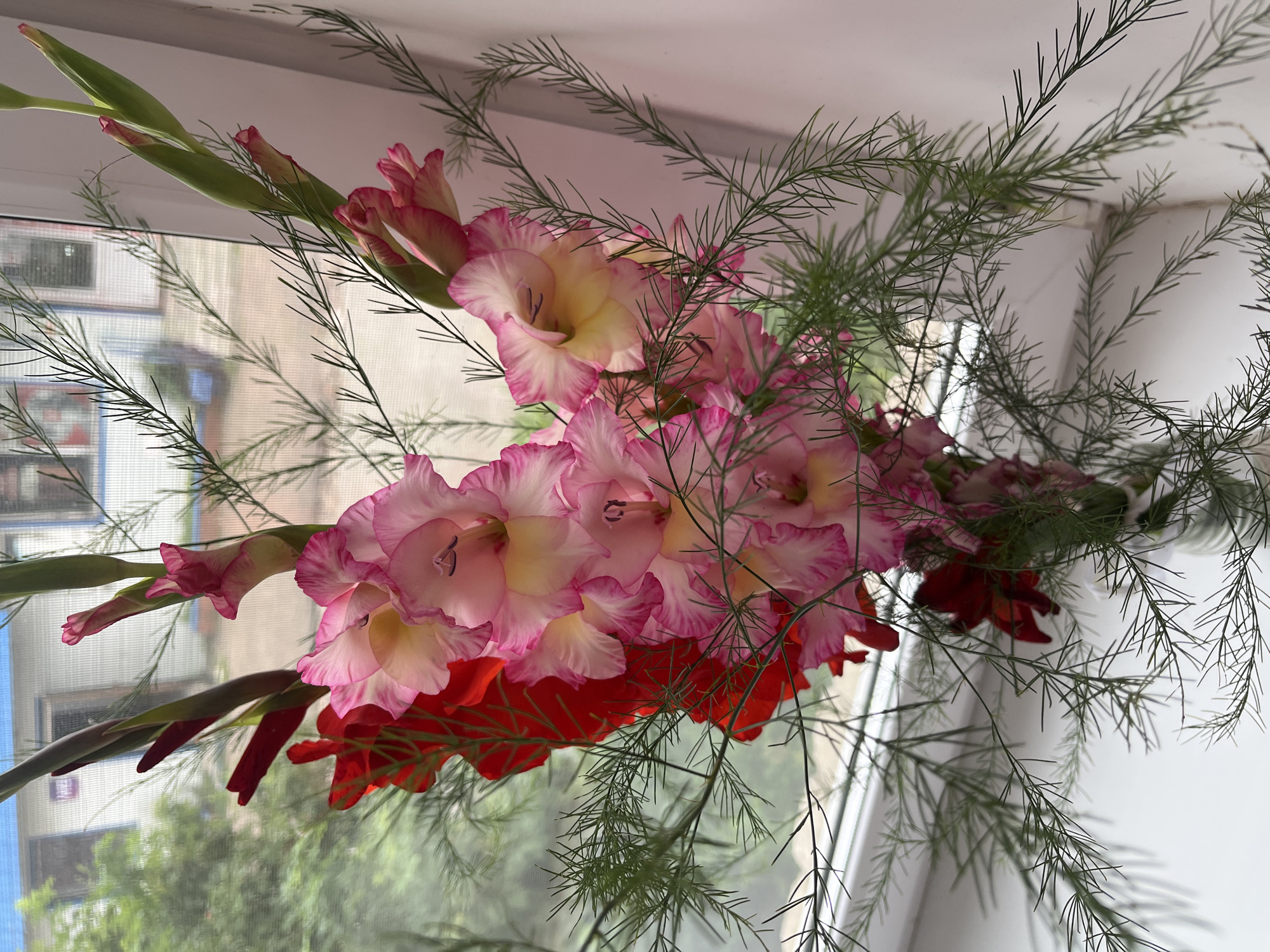 Flowers, food, and everyday goods in a Blagoveshchensk home