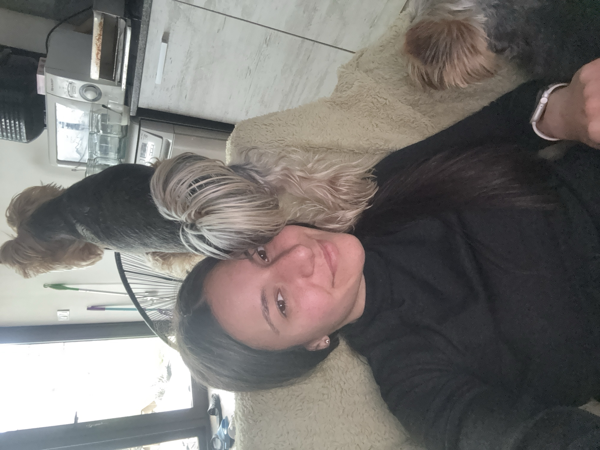 Woman relaxes with Yorkshire Terriers on couch in Bulgaria