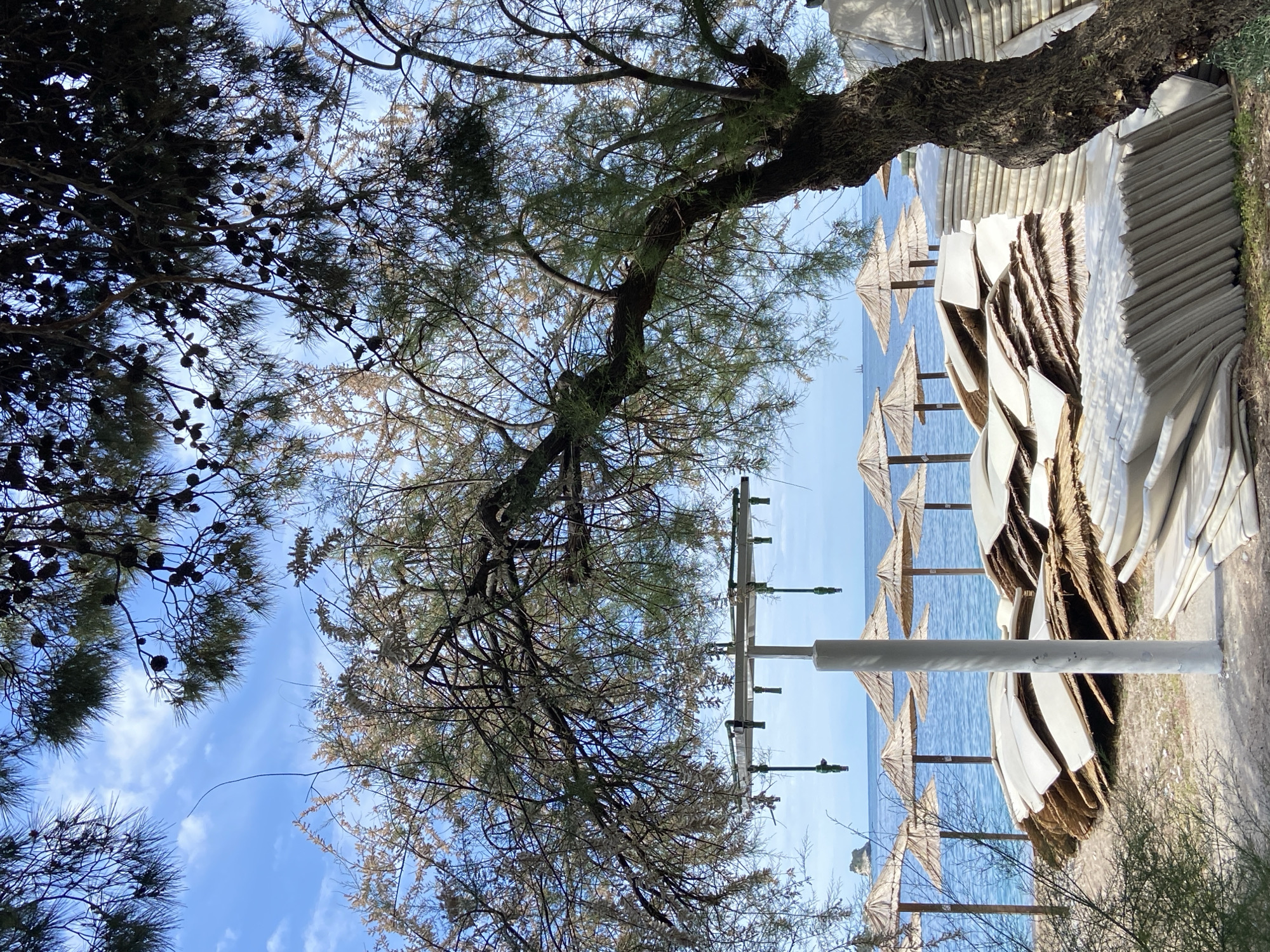 Morning beach preparations documented in Budva, Montenegro
