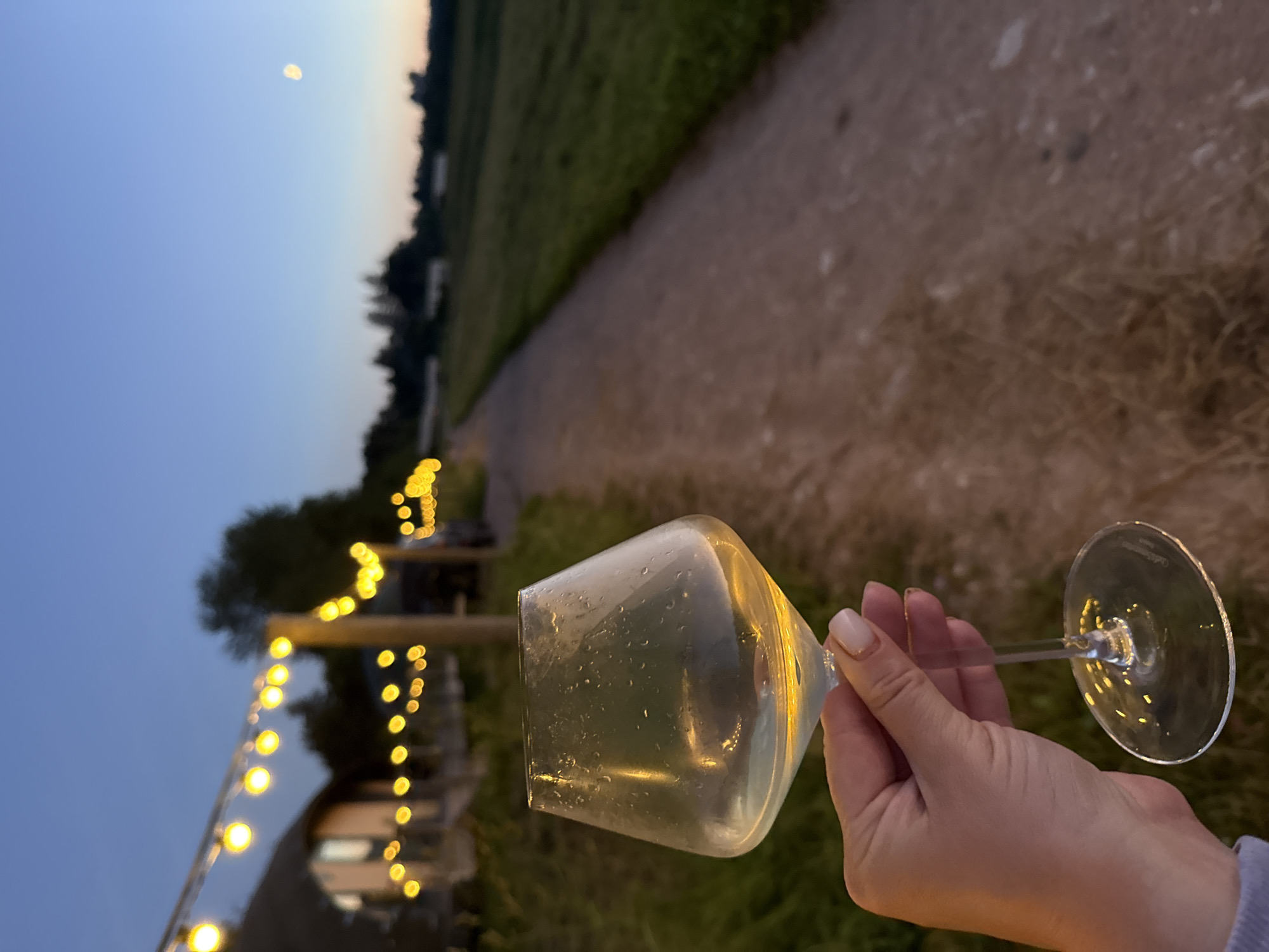 Summer evening gathering on a rural Russian property at dusk