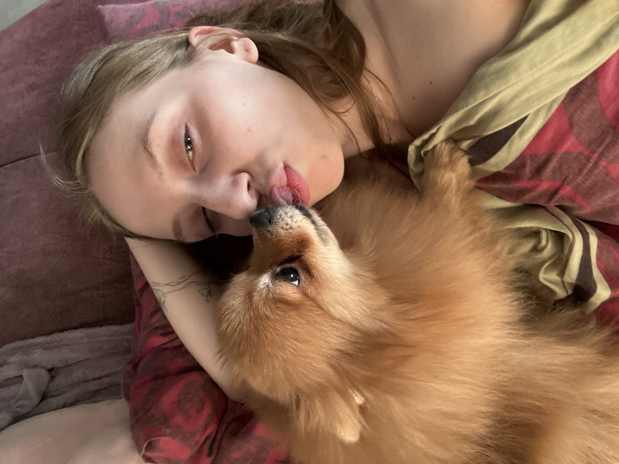 Woman and small dogs captured in quiet morning moments