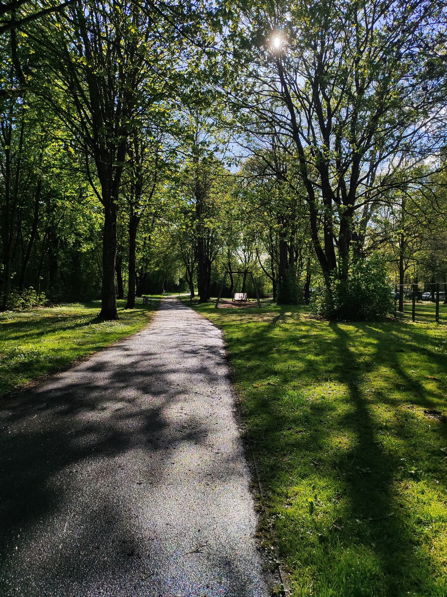 Sunlit tree-lined pathway observed in Göttingen park