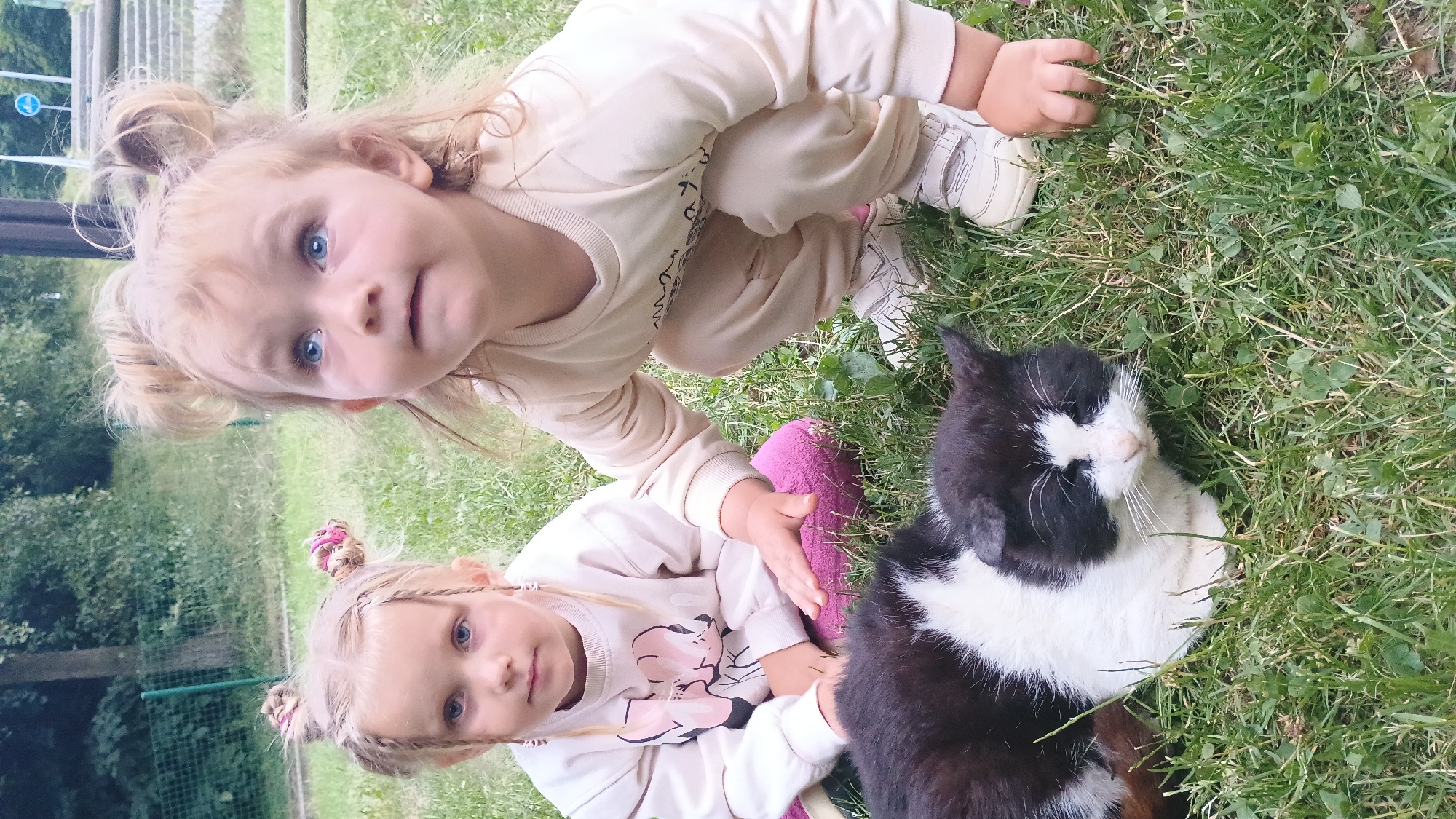 Kids and a cat on a Sokolov playground afternoon