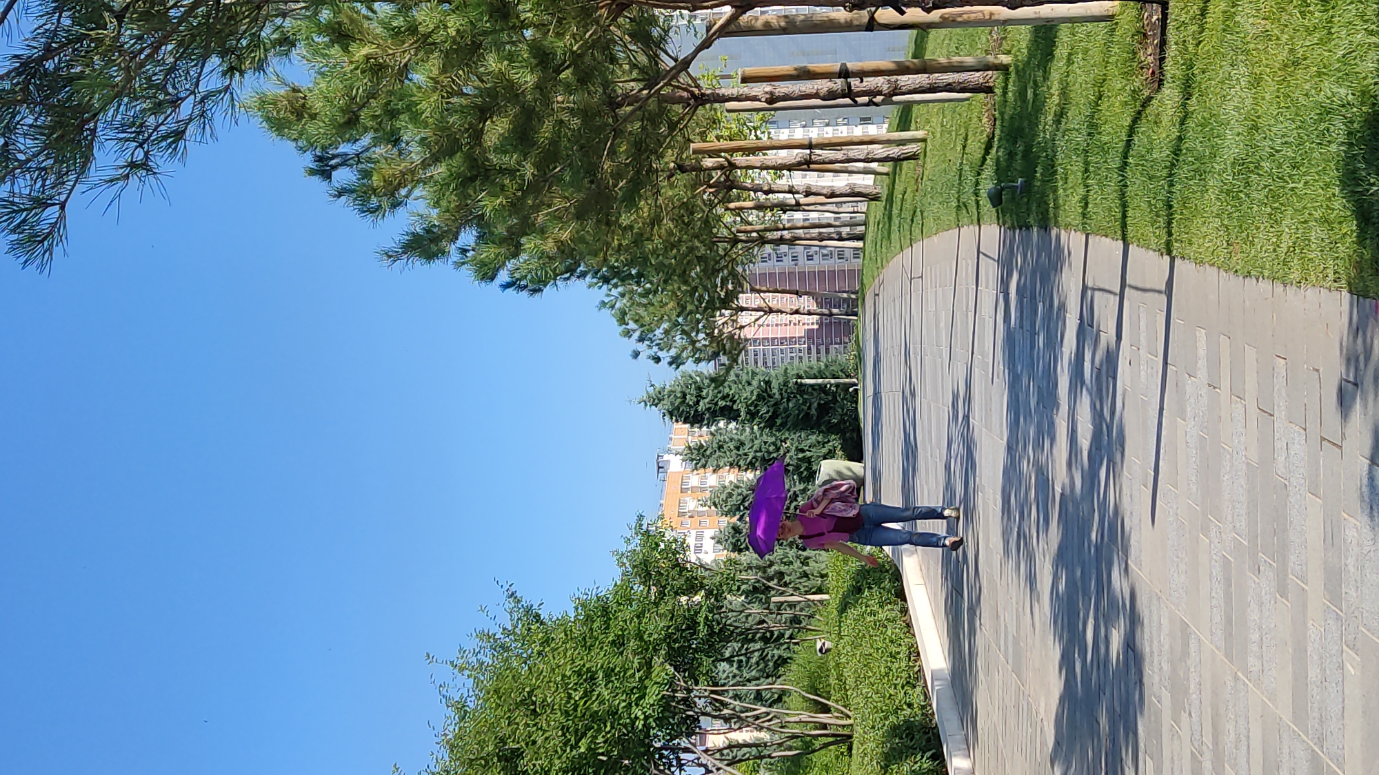 Busy morning at a landscaped urban park with paths and plazas