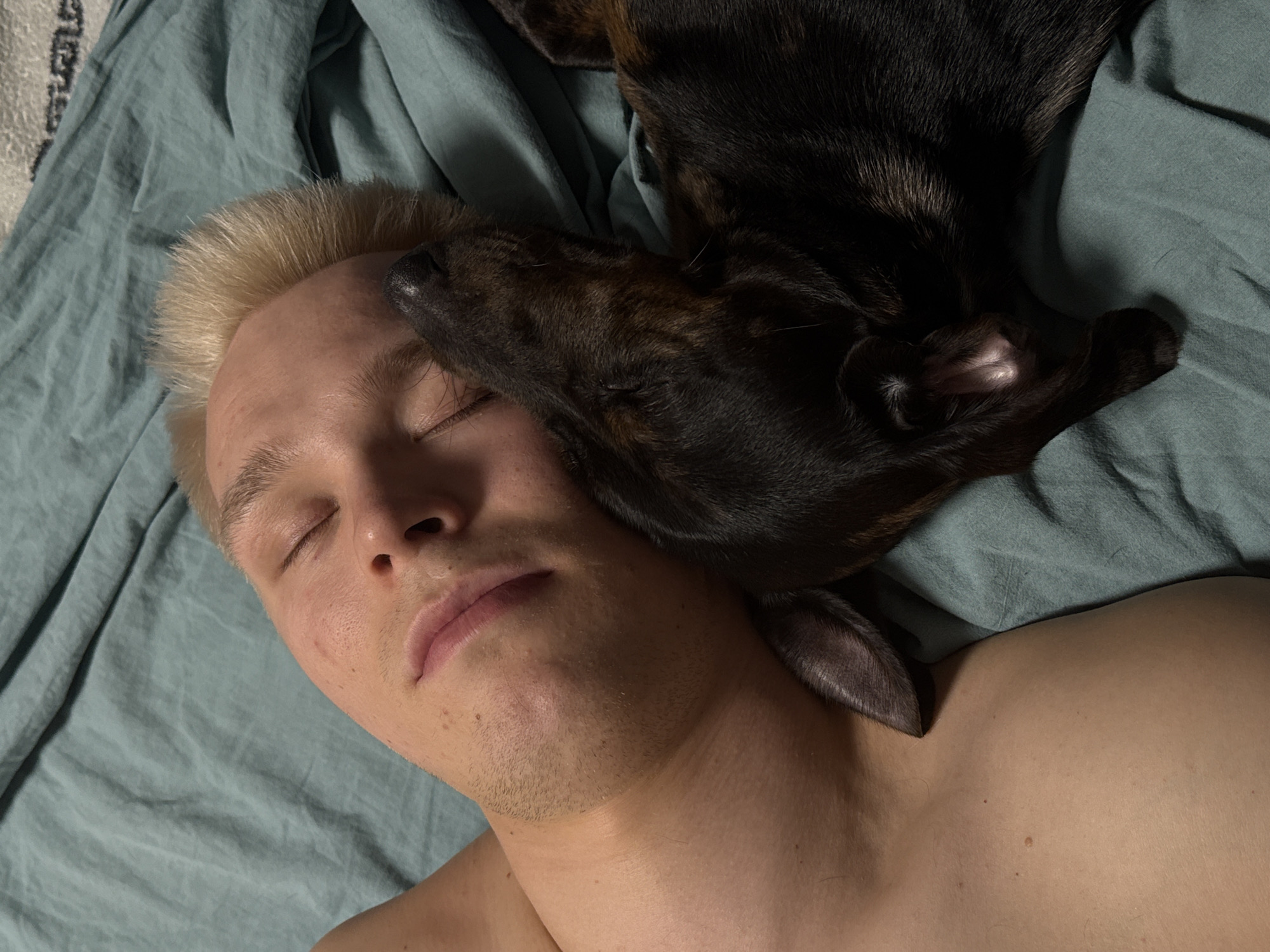 Man and dachshund share quiet afternoon rest in Noviy