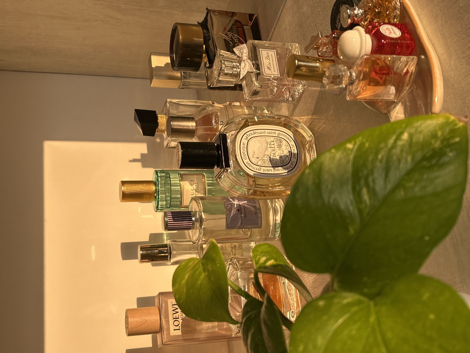 Luxury perfume collection displayed in San Bernardino Tlaxcalancingo
