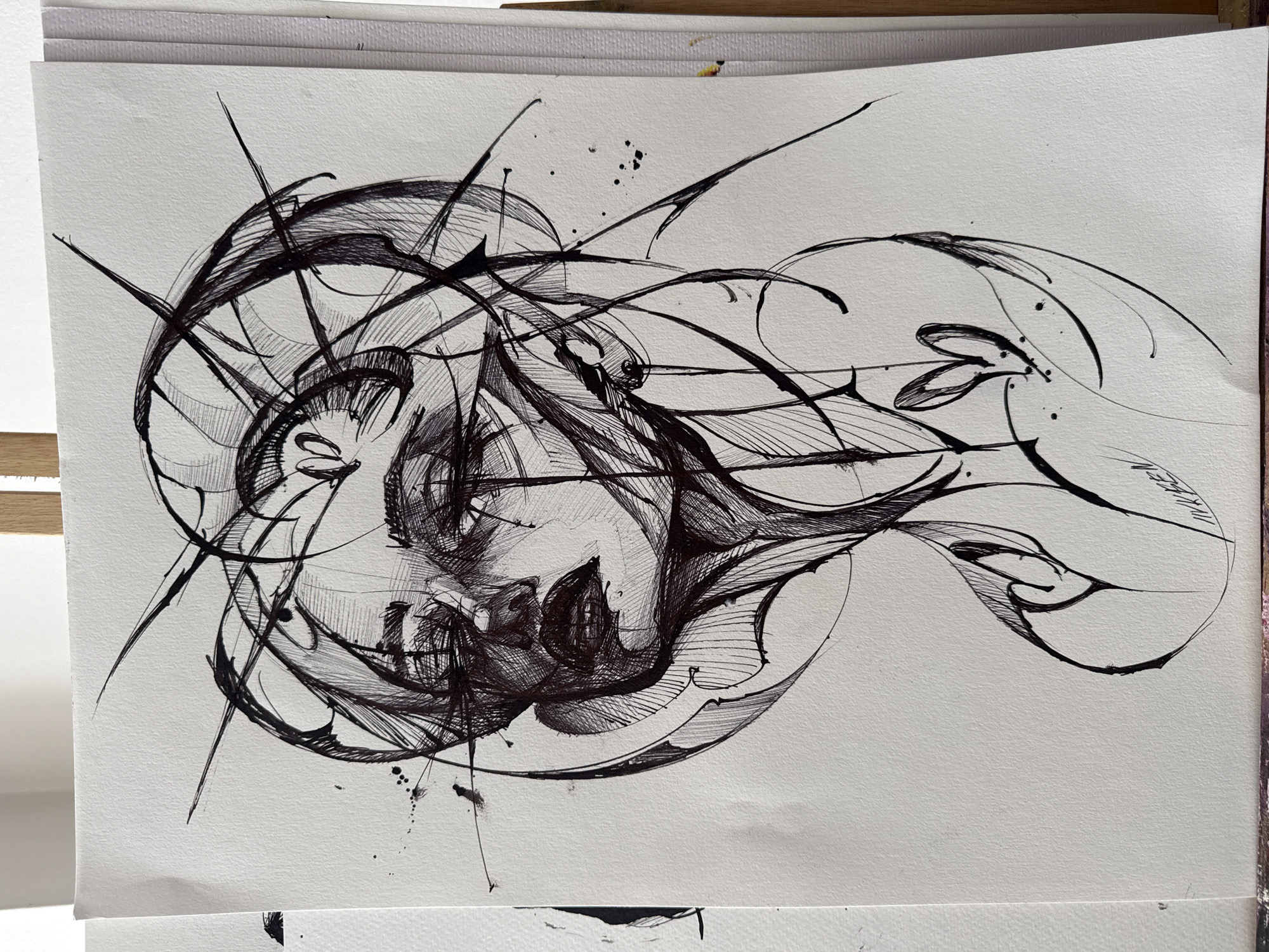 Artist creates abstract portraits and drawings in Sofia morning session