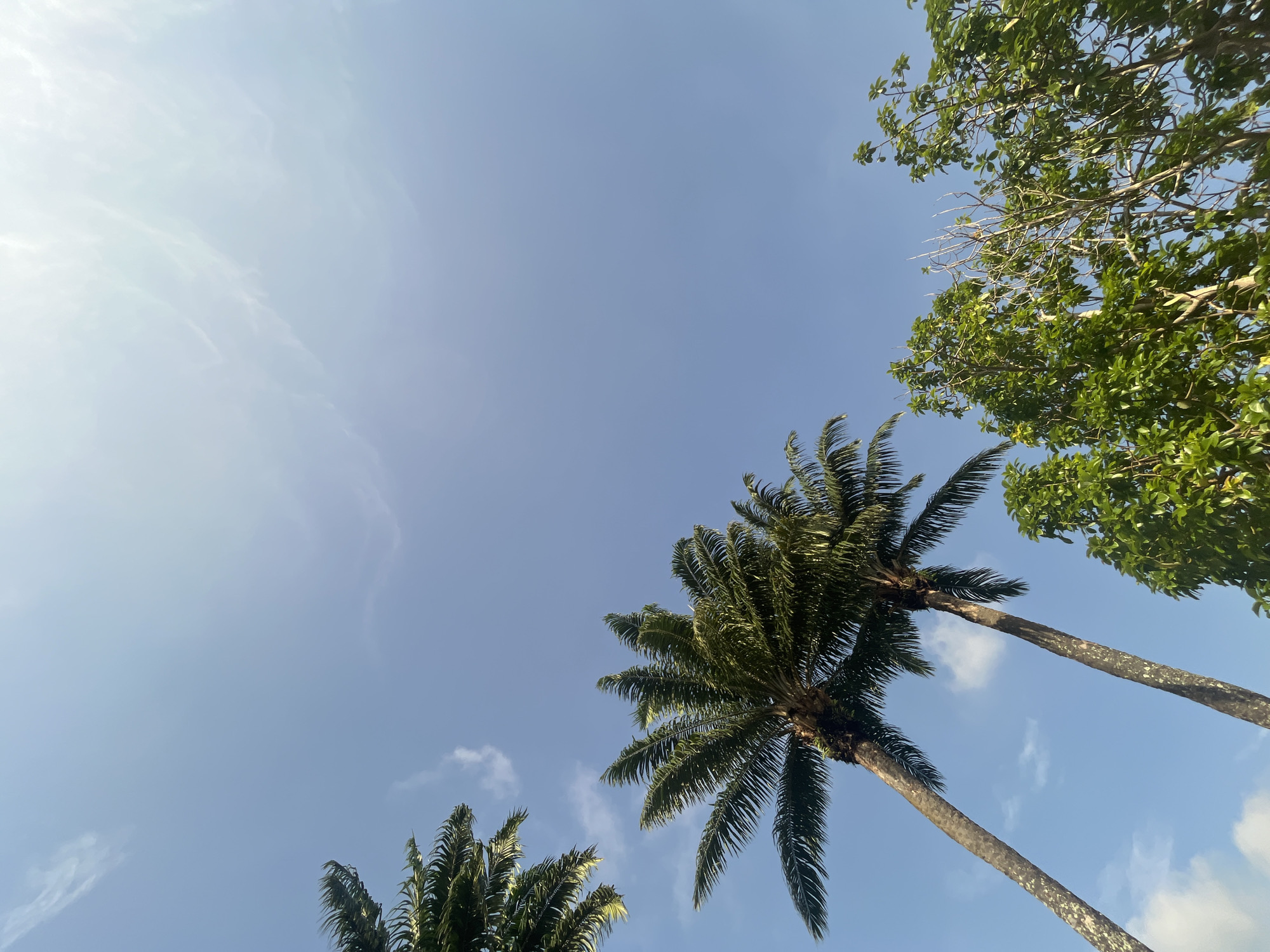 Morning scenes documented in Ikot Ekpene, Nigeria