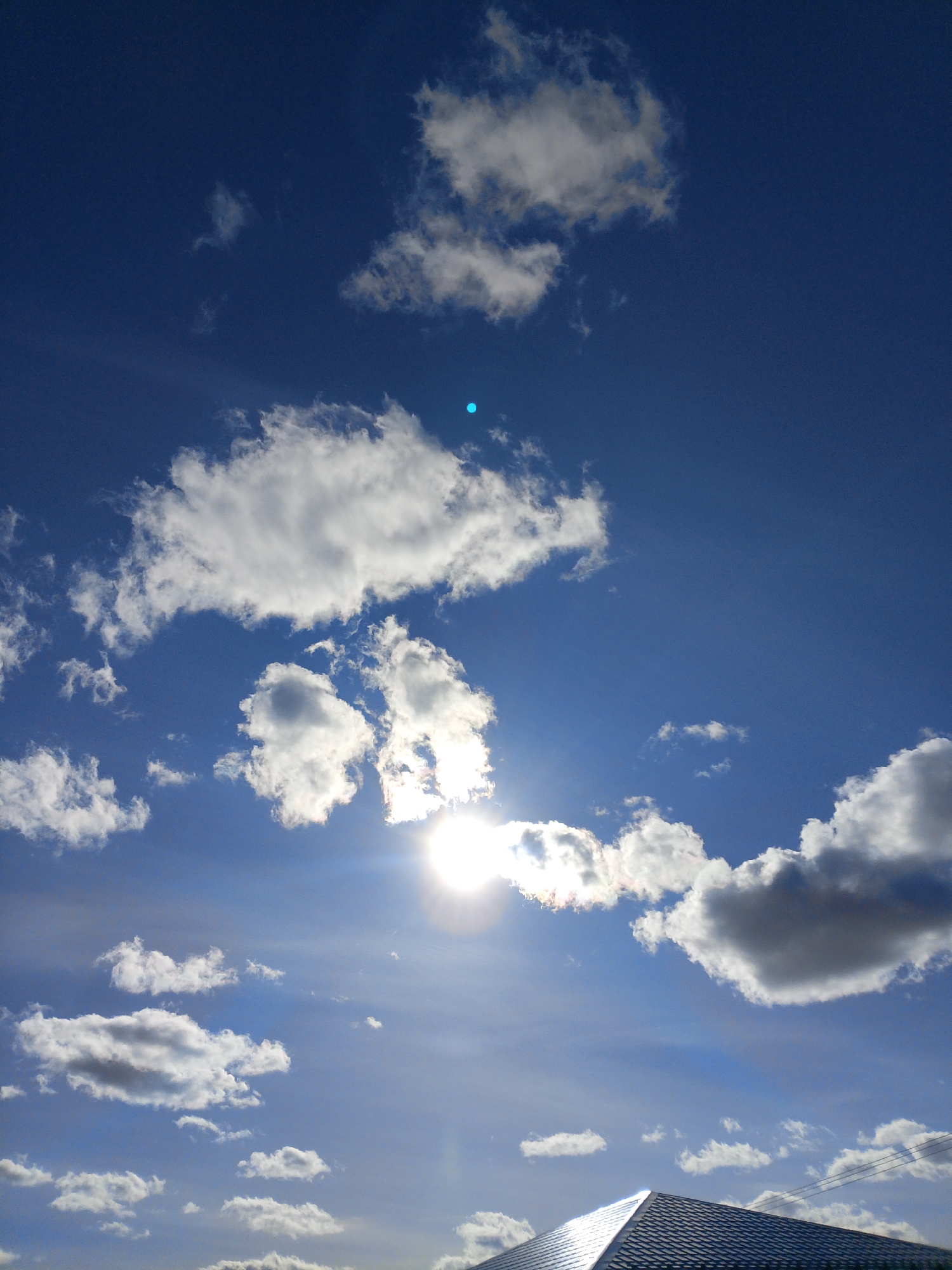 Spring day documented in Прикамский: blue skies, wildflowers blooming