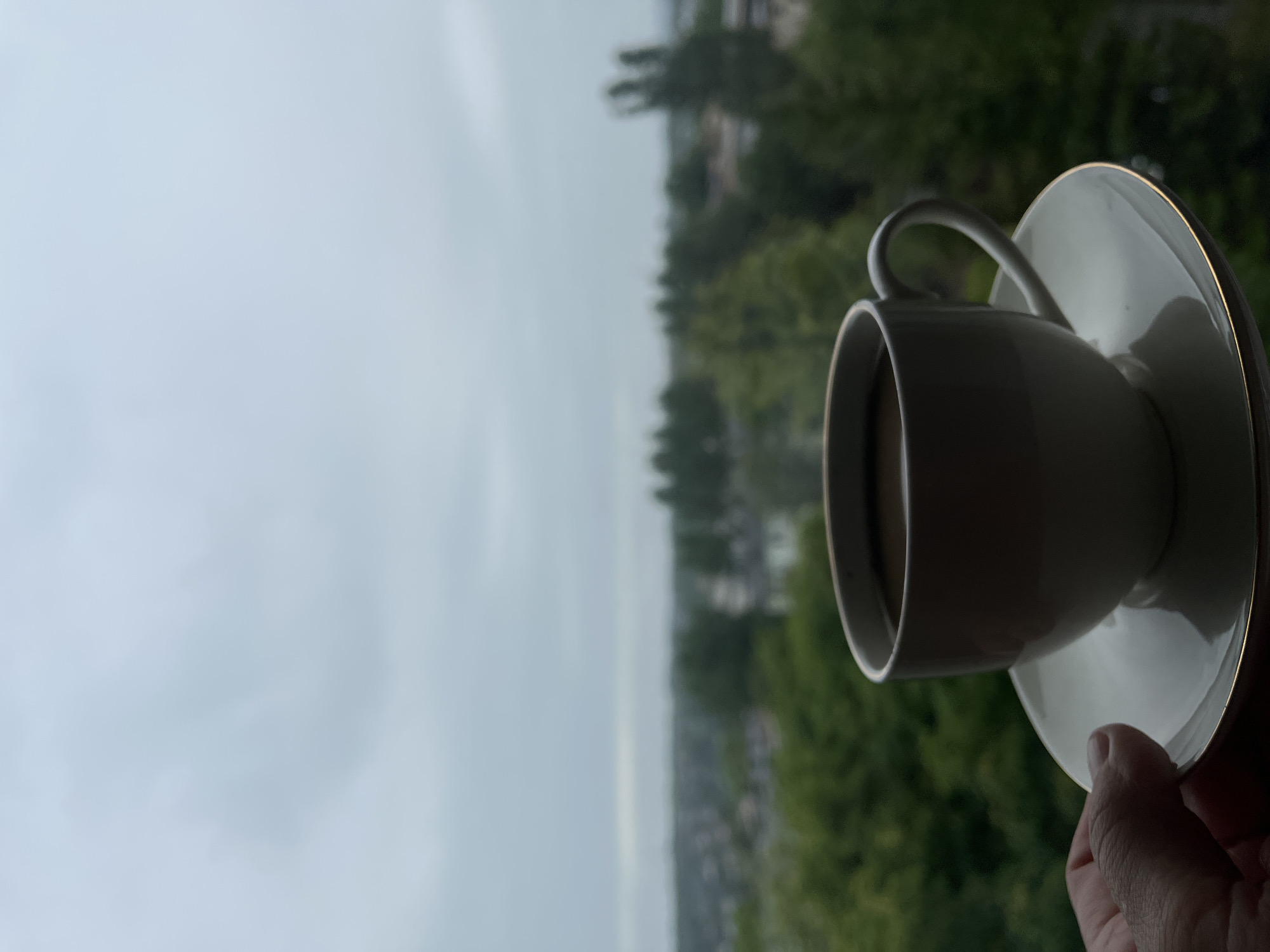 Morning coffee and green smoothie preparation by city window